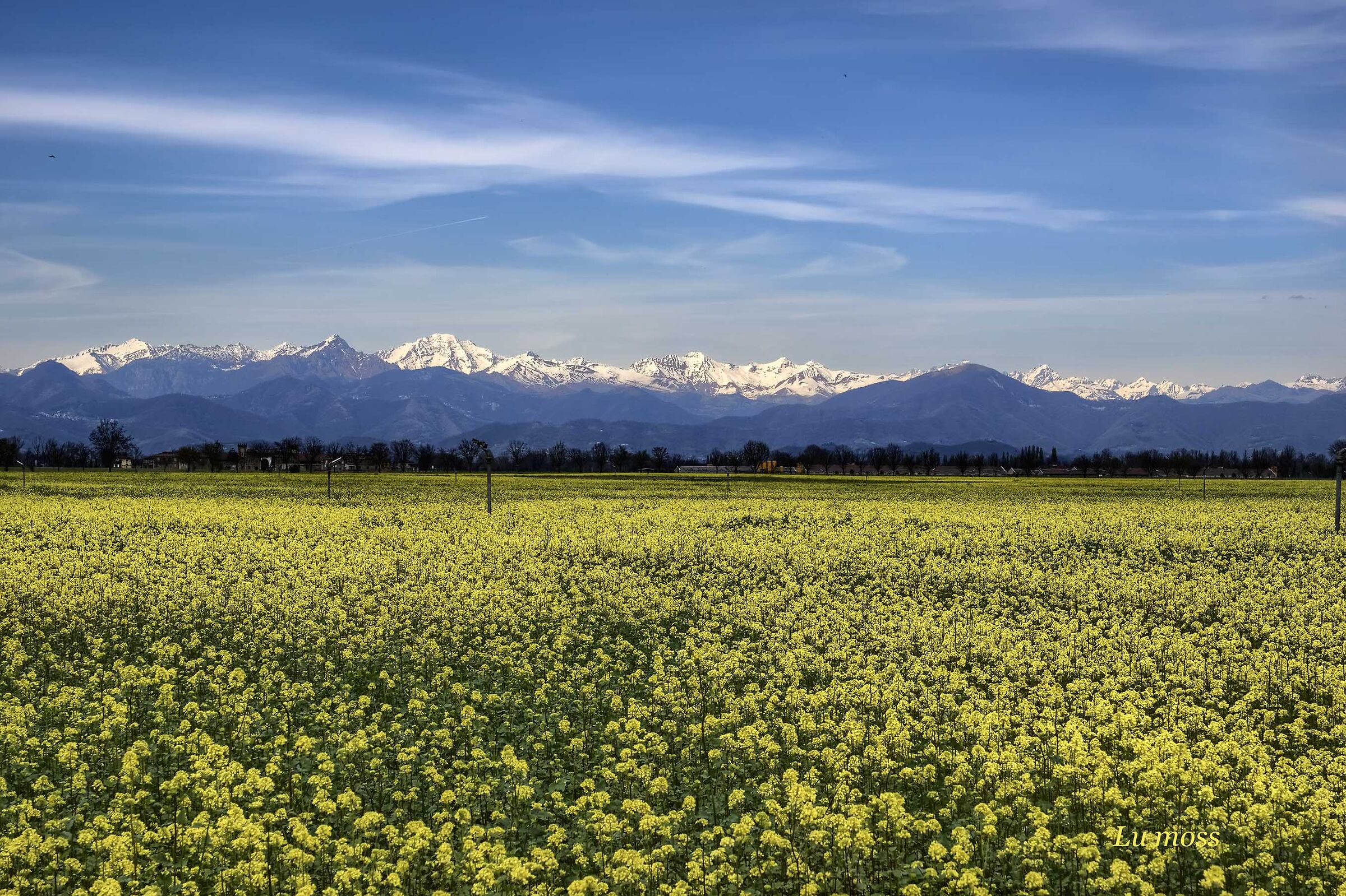 Giallo in Pianura, neve sui monti.