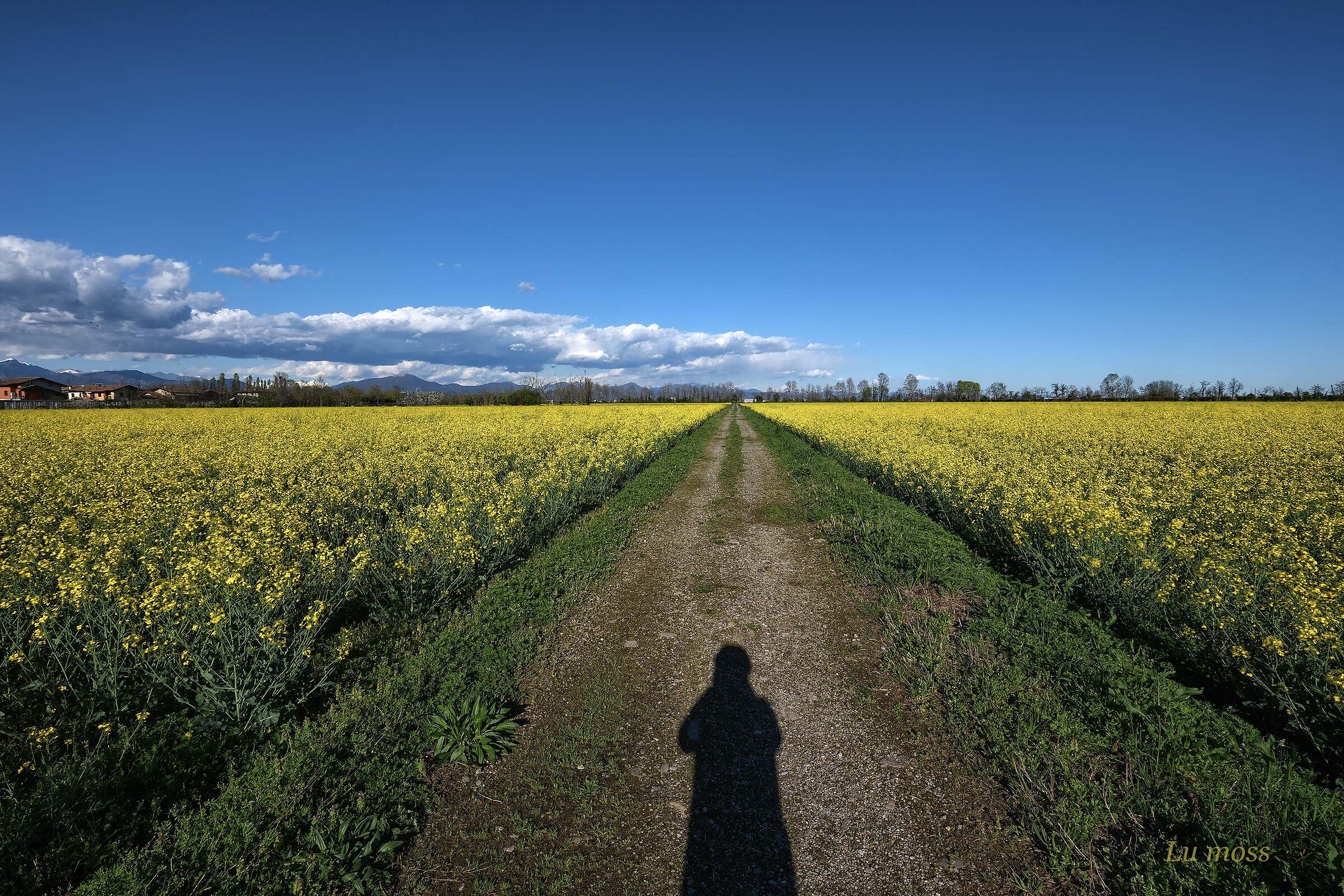 Tra due ali gialle, l'infinito.