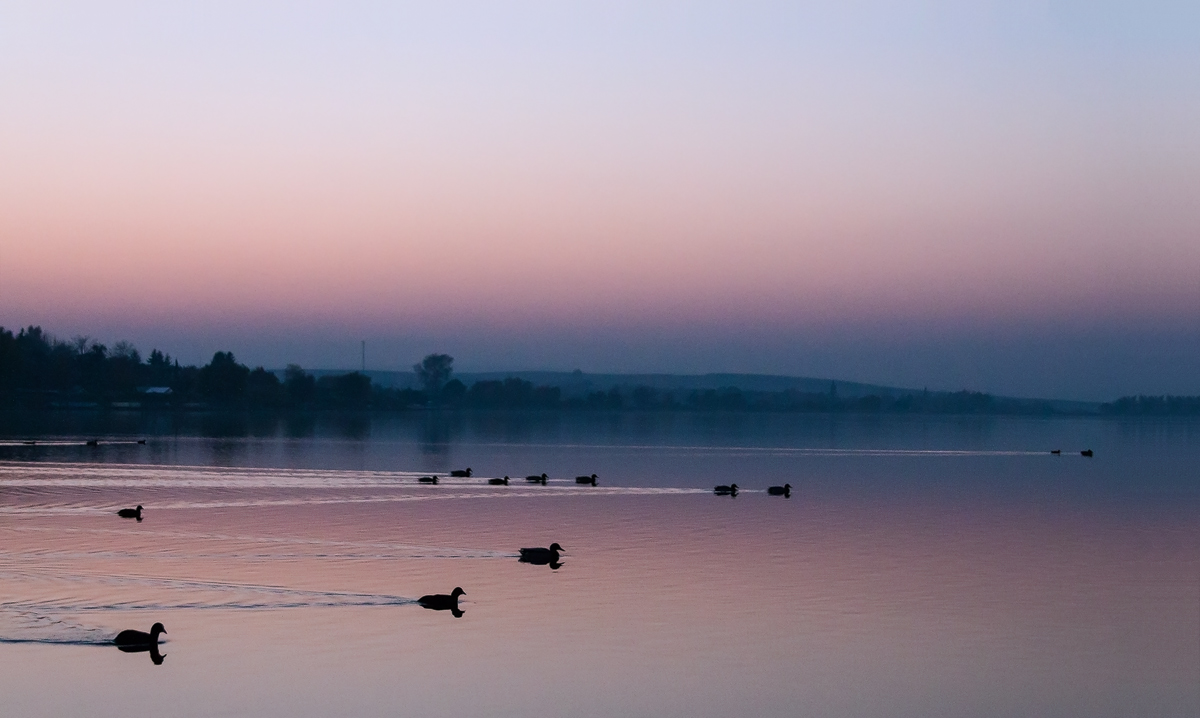 When the night comes