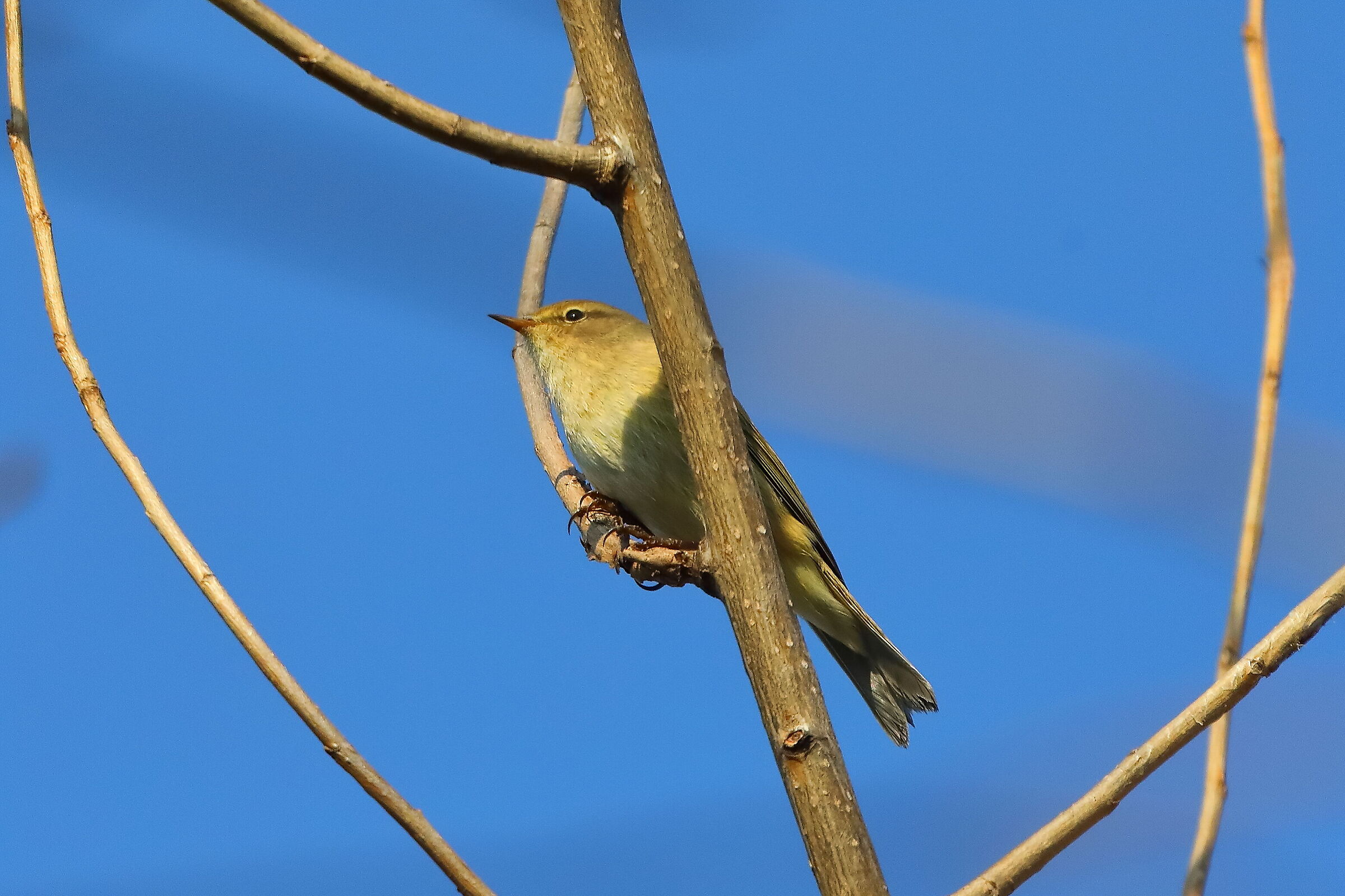 He 18 March 2024 - 0034