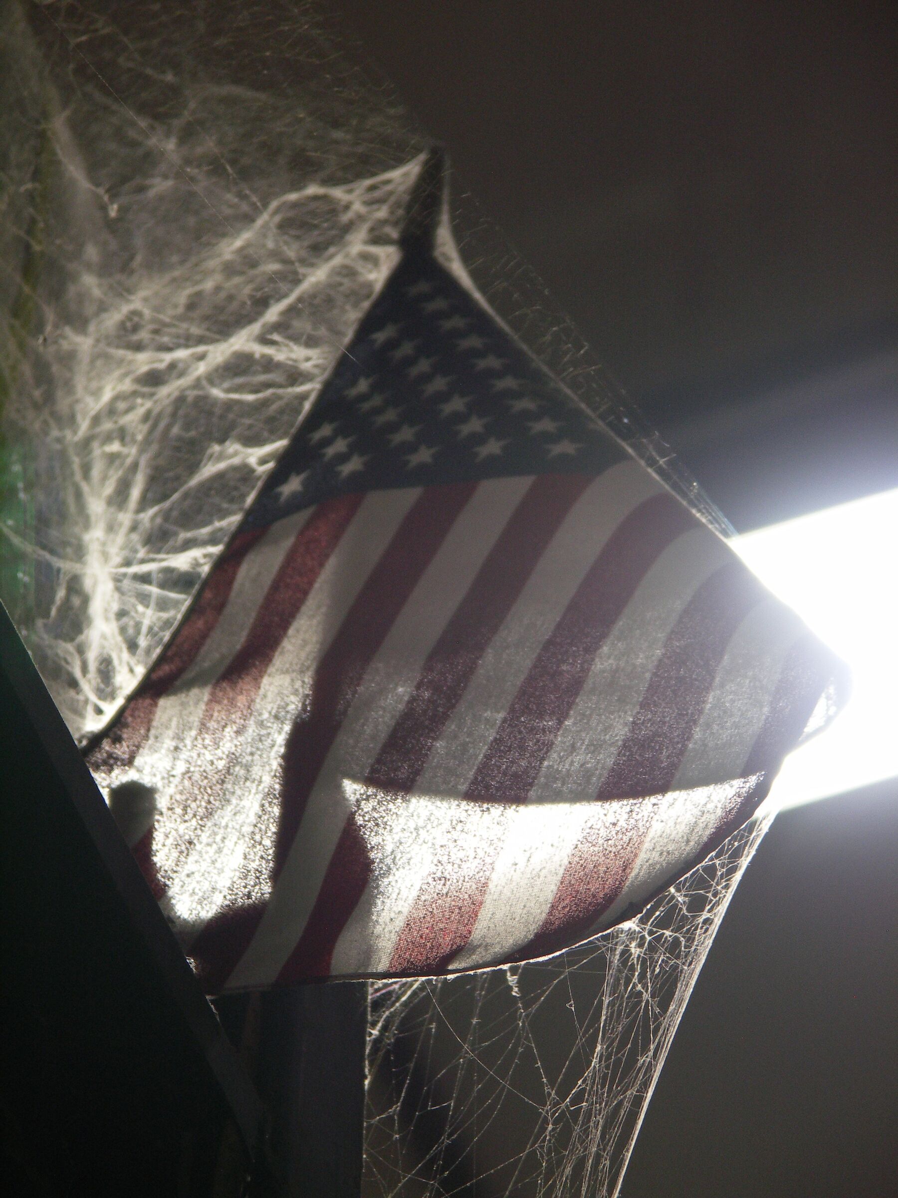 Cobwebs in the USA