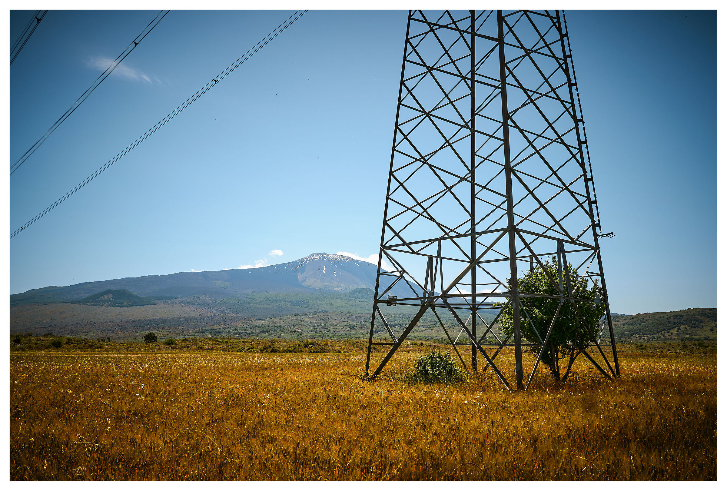 Progress and Freedom