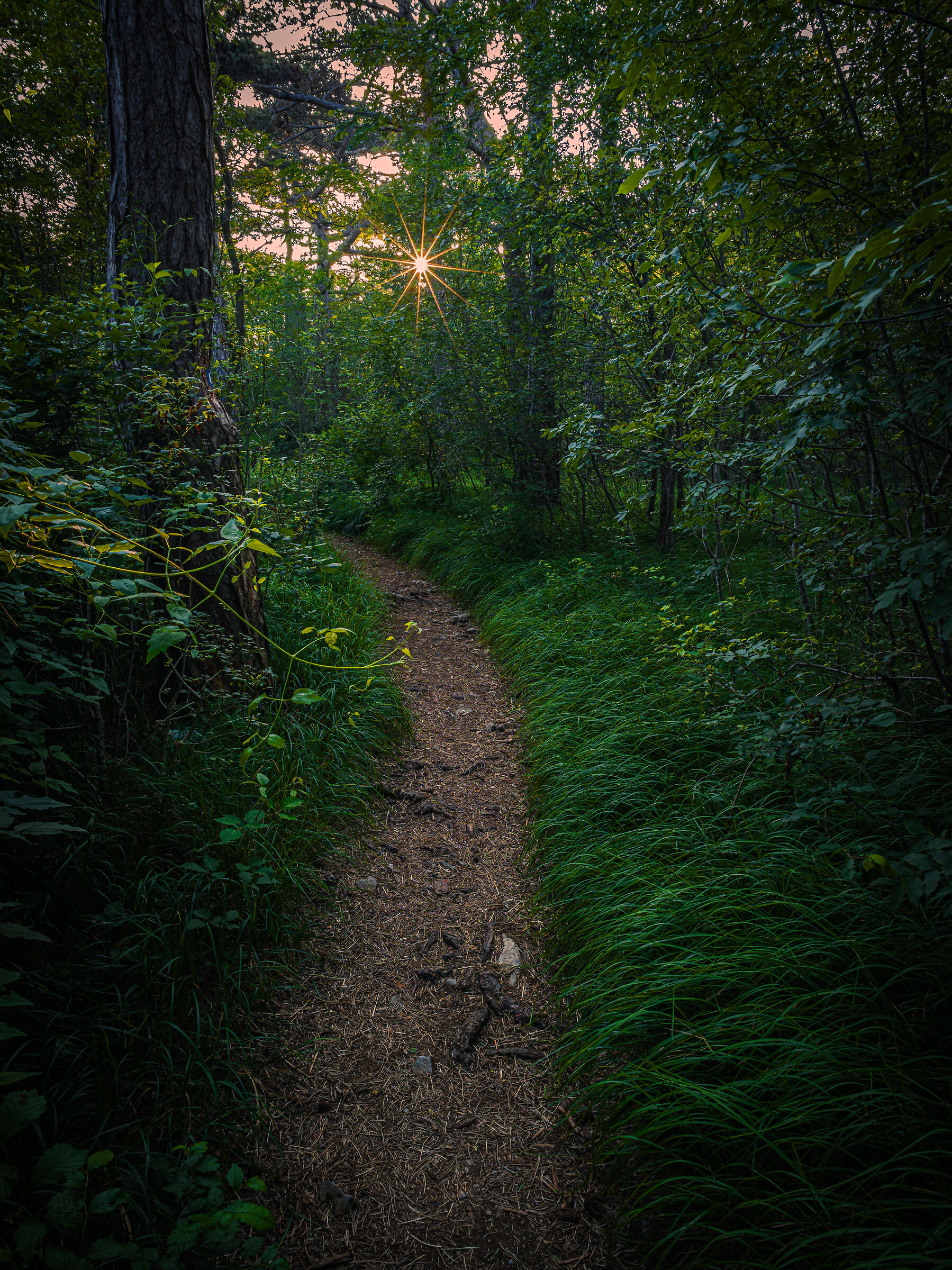 Walking inside my thoughts