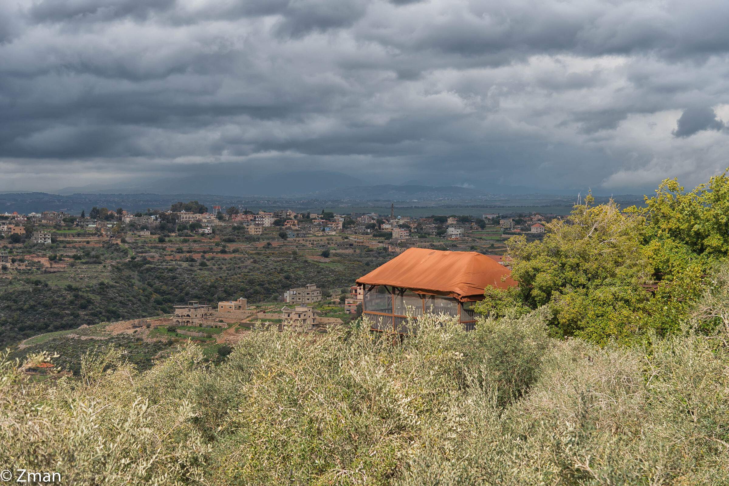 Il Gazebo e gli Ulivi