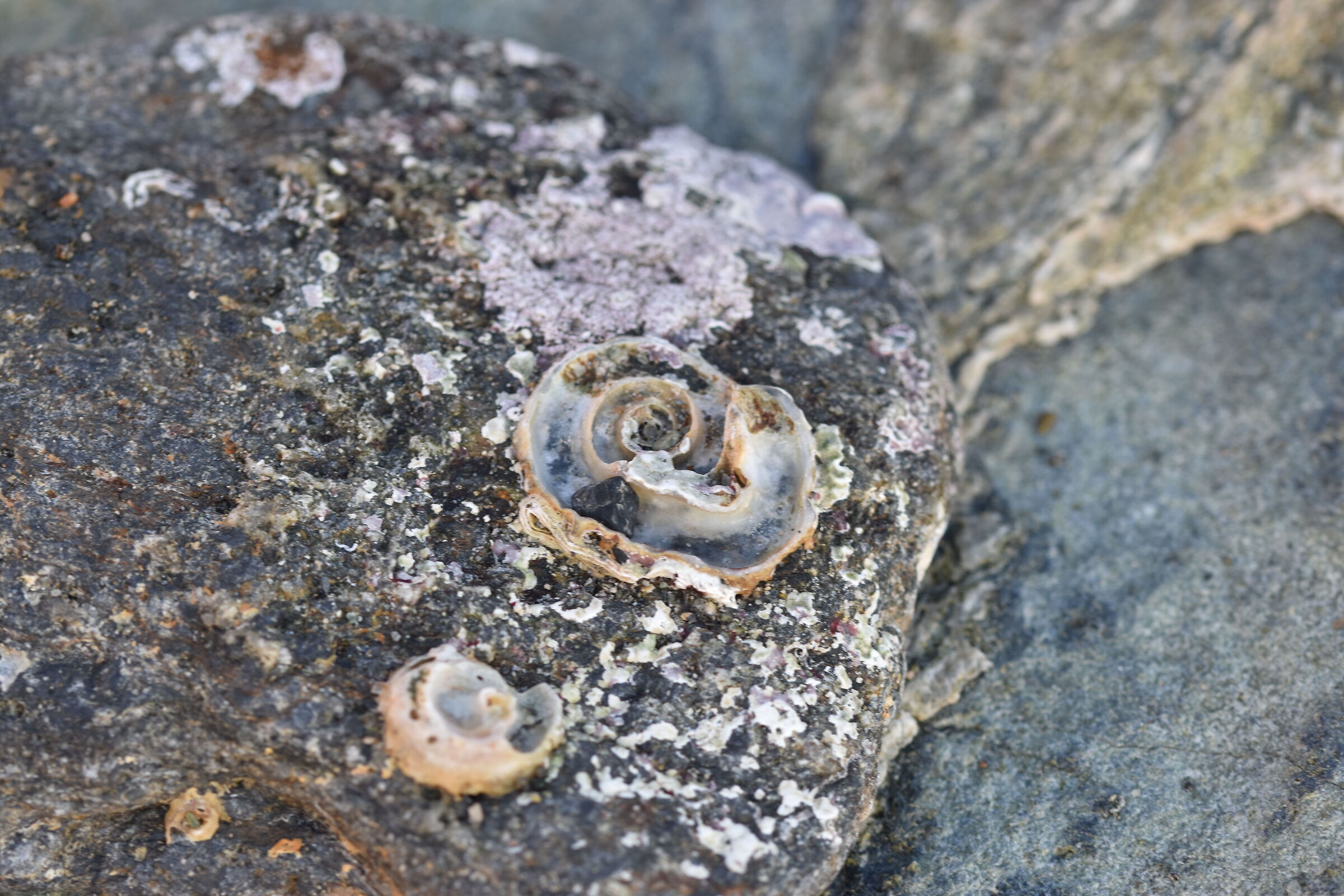 Una casa abbandonata