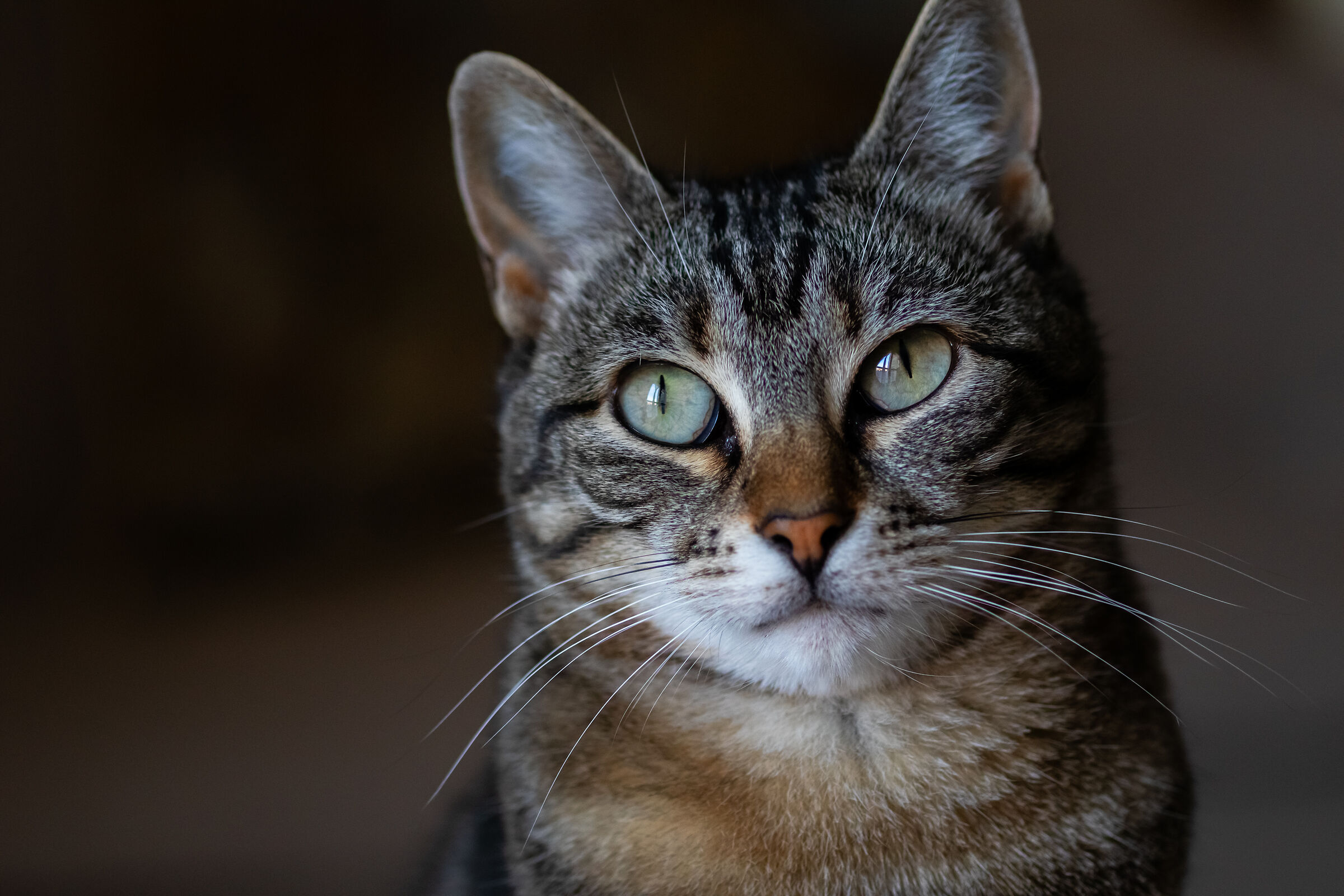 Titti ferma perfetta