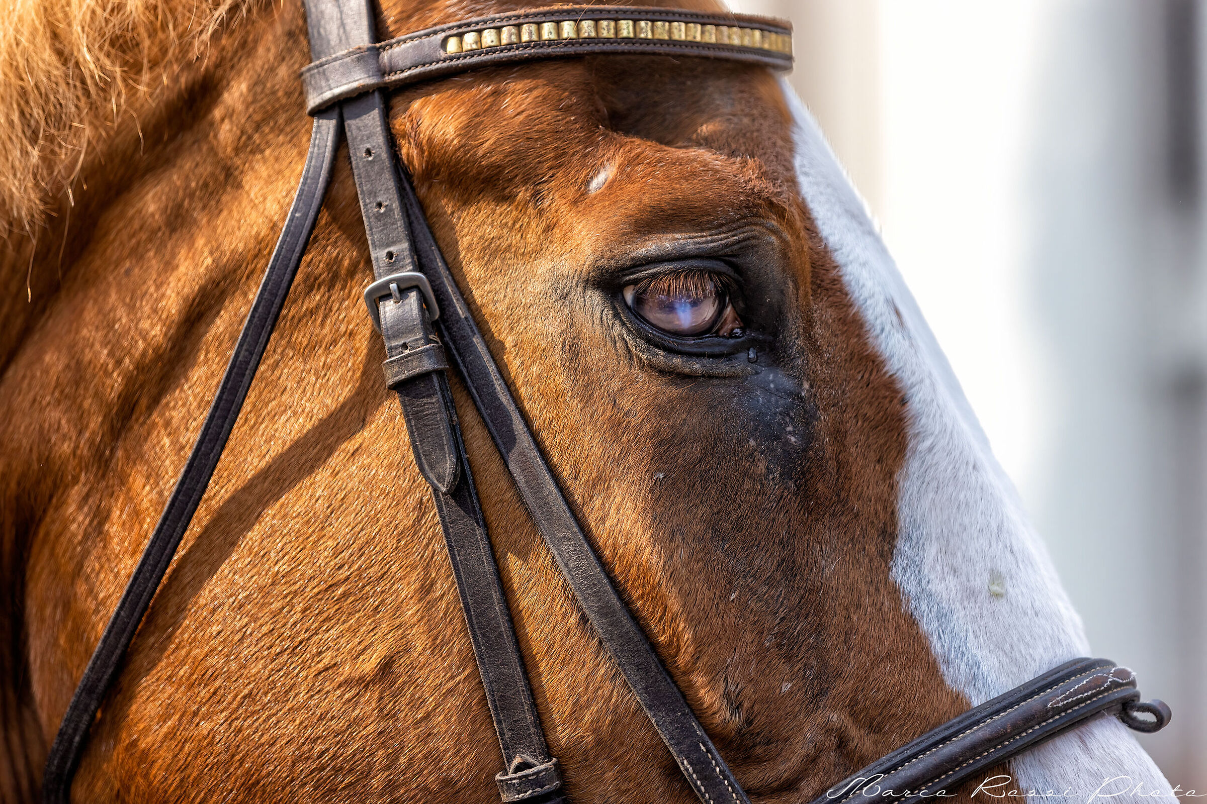 Chi sa leggere in uno sguardo??