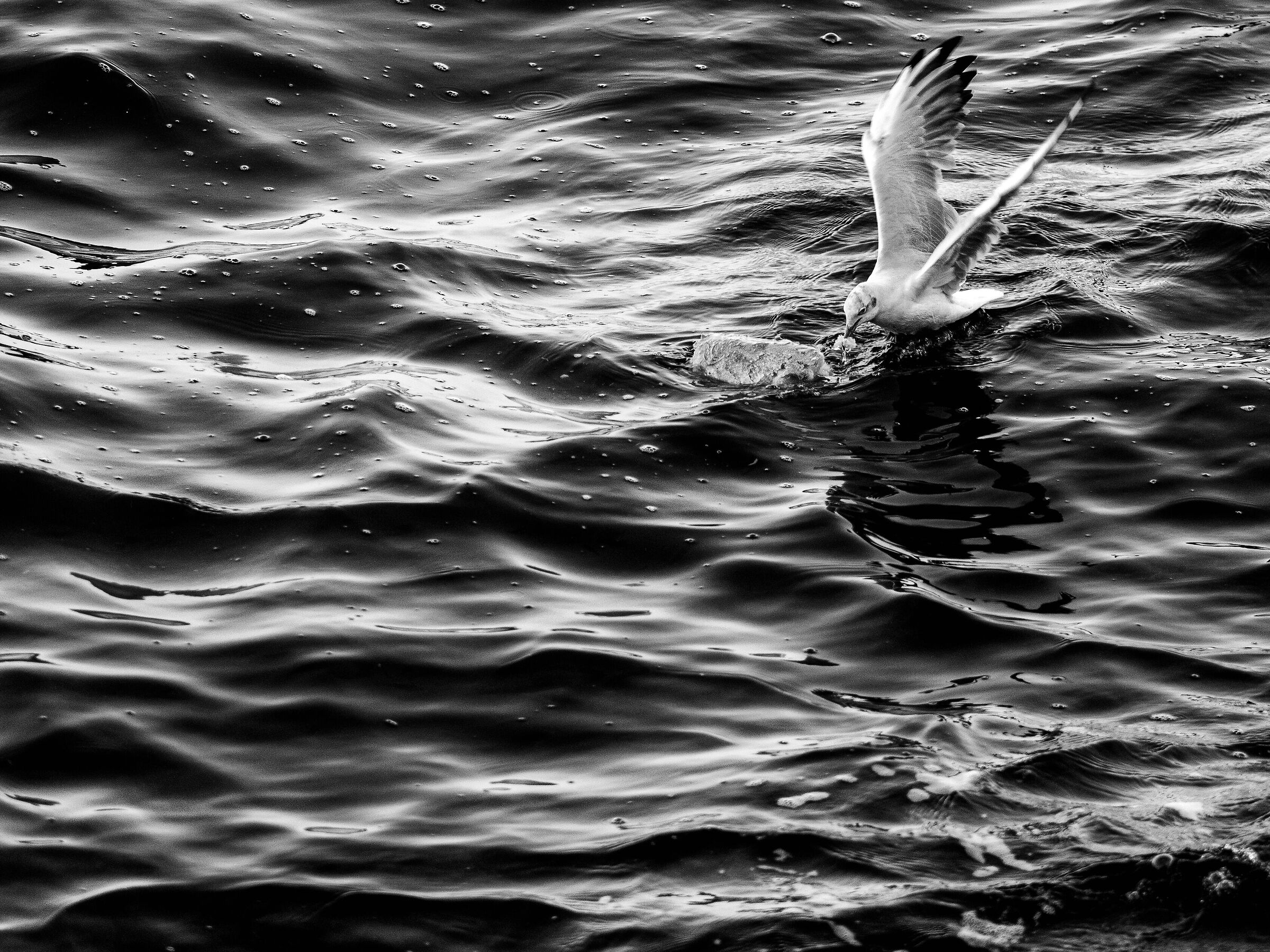 A piece of bread is not denied to anyone...