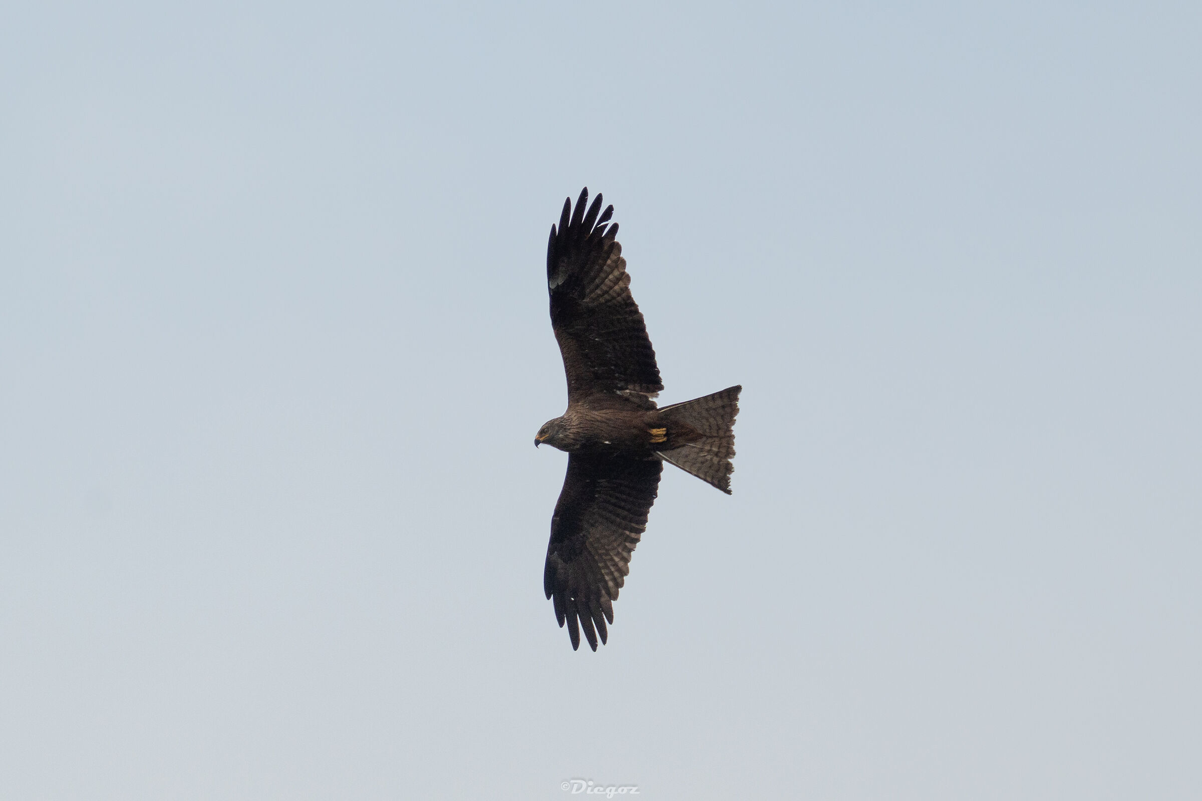 Untitled Photo