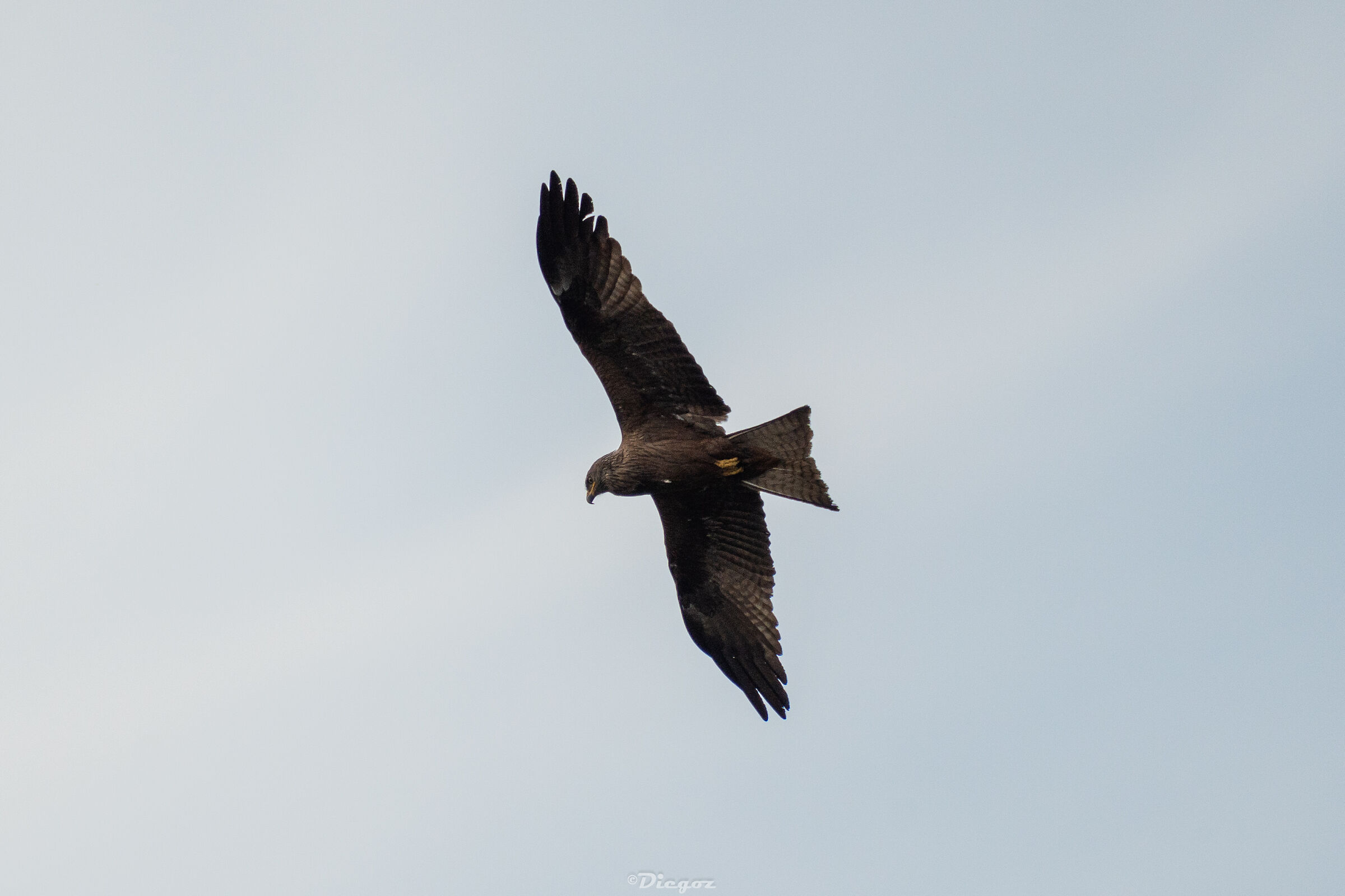 Untitled Photo