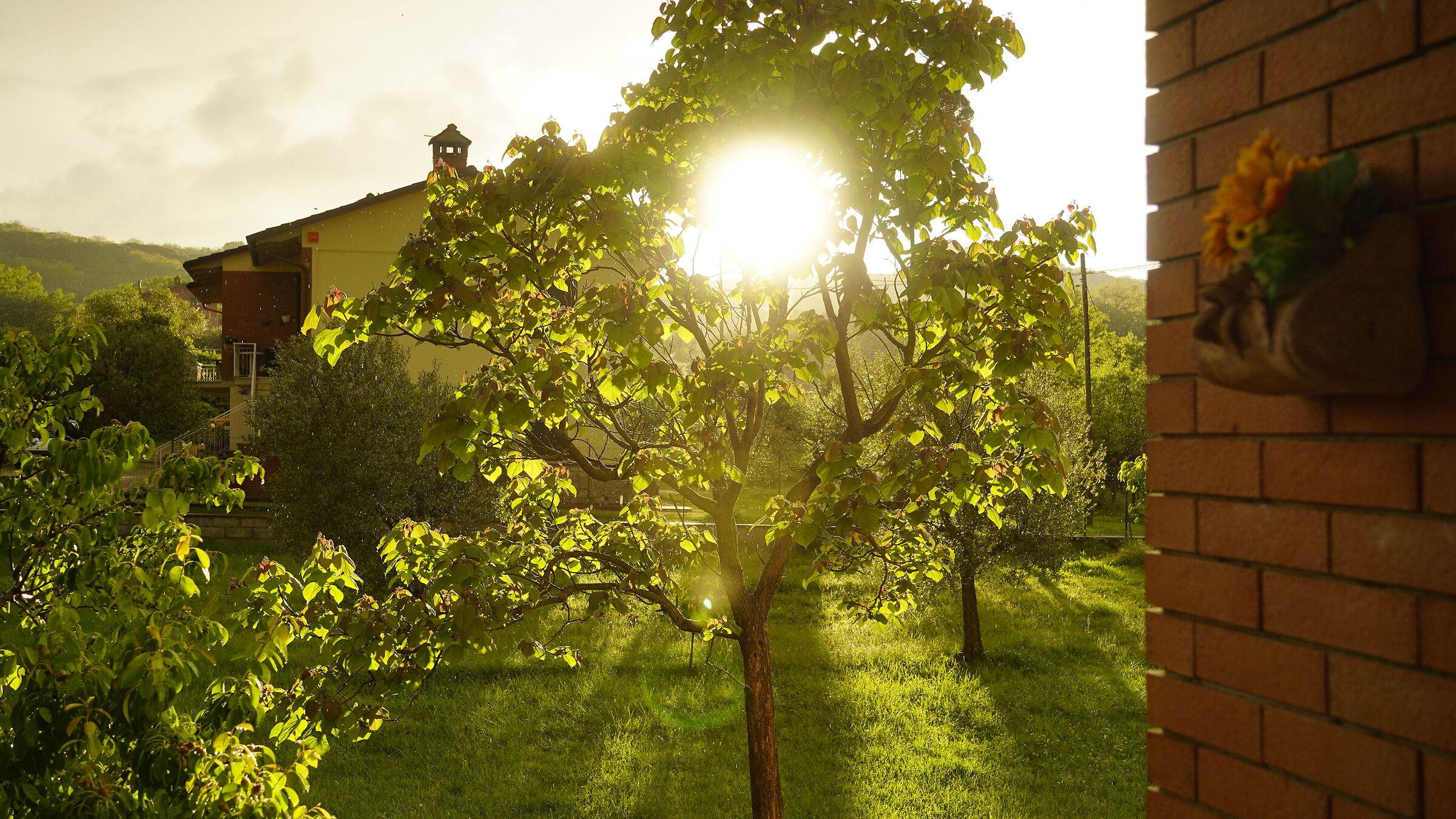 Playing with the flare