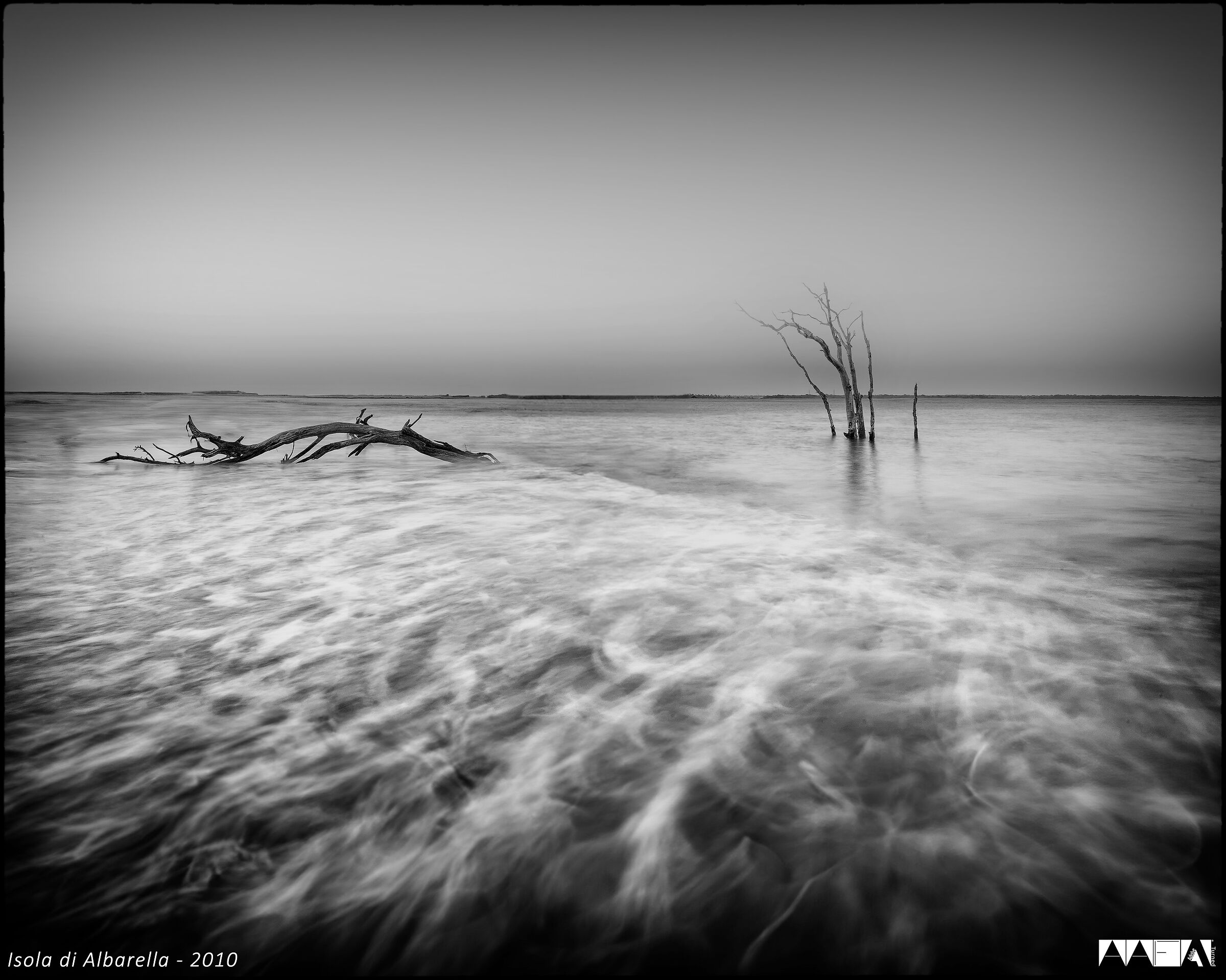 Island of Albarella - 2010