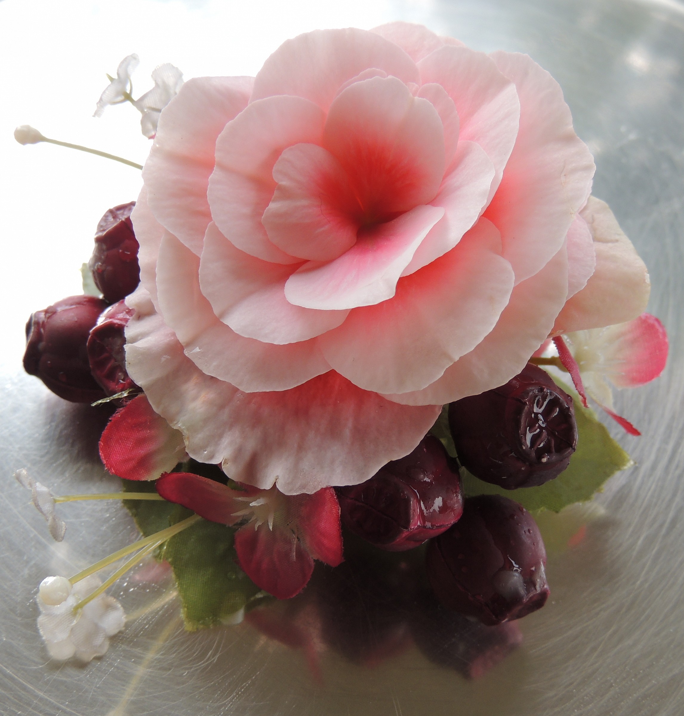 Placeholder with begonia