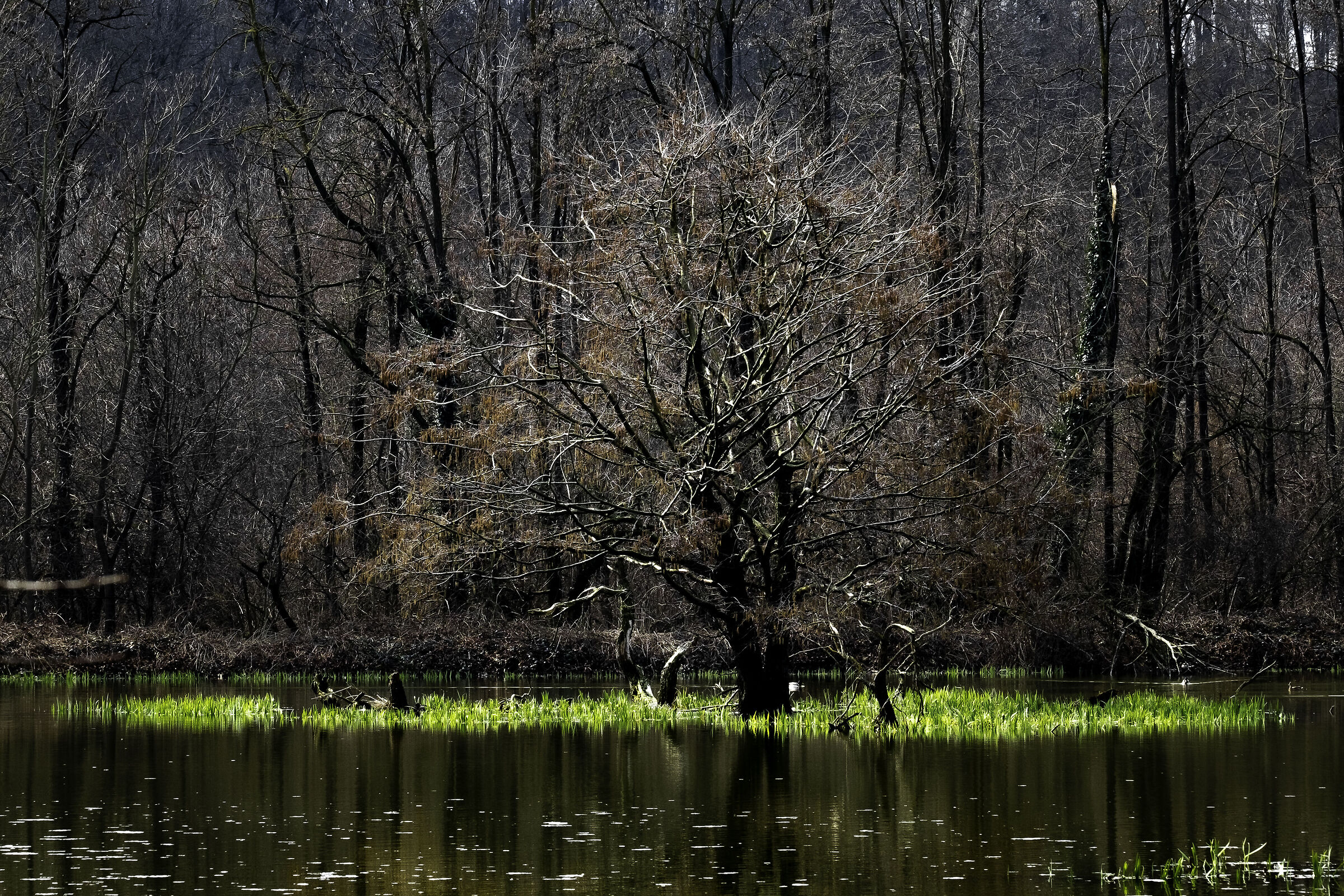 Oasi di Crava Morozzo 2018