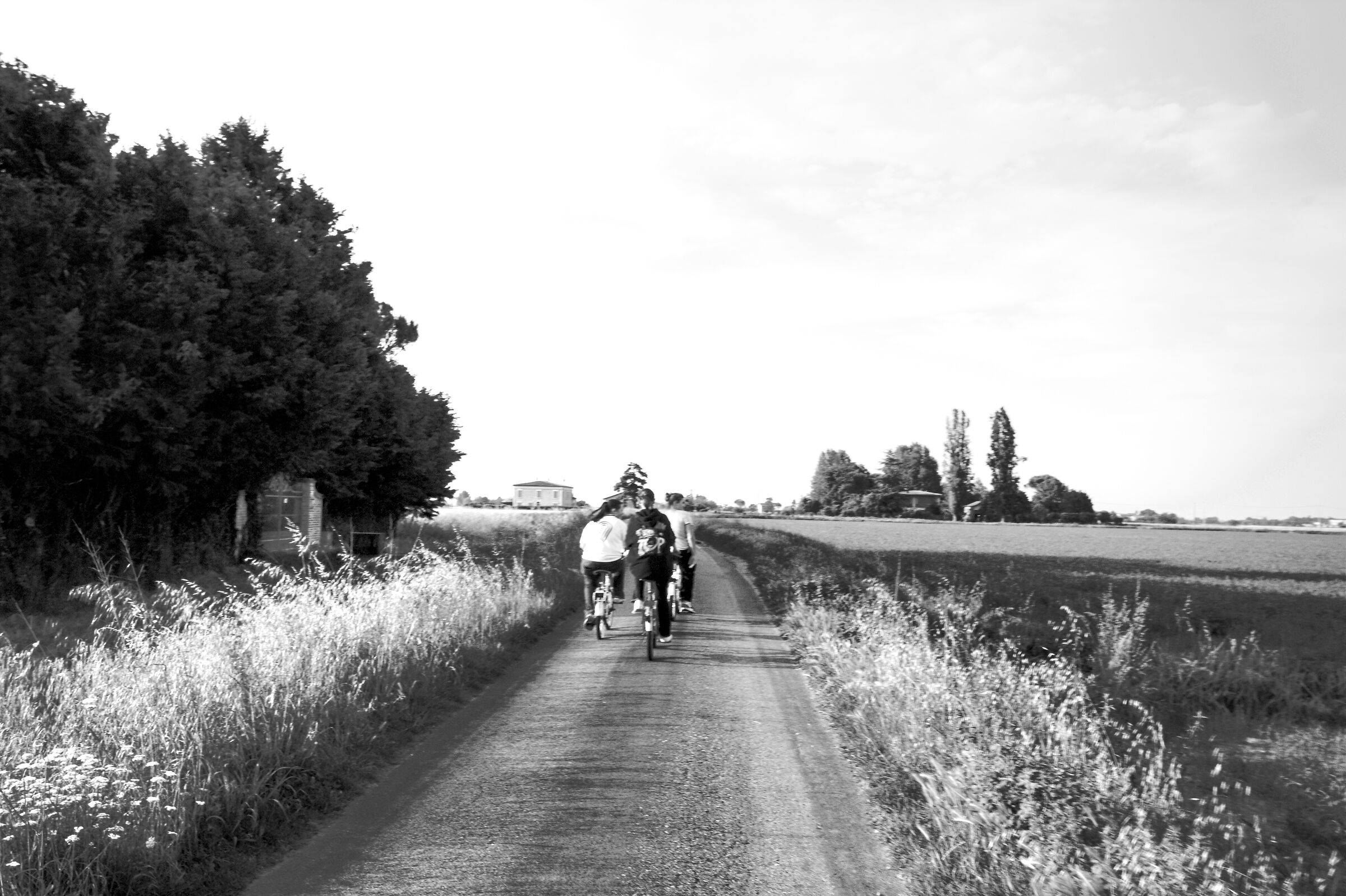 Biciclette senza campanelli....
