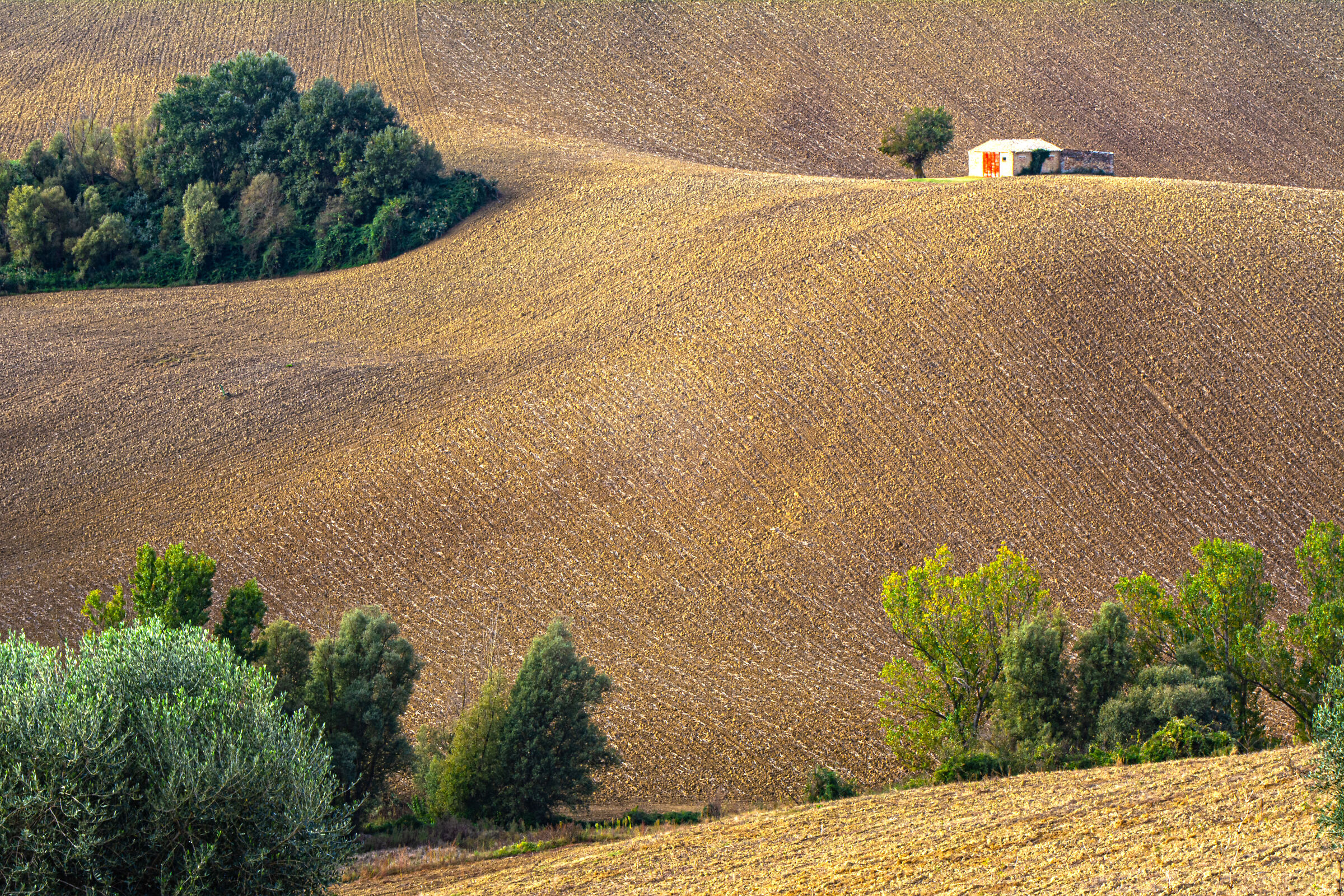 cottage with a red door