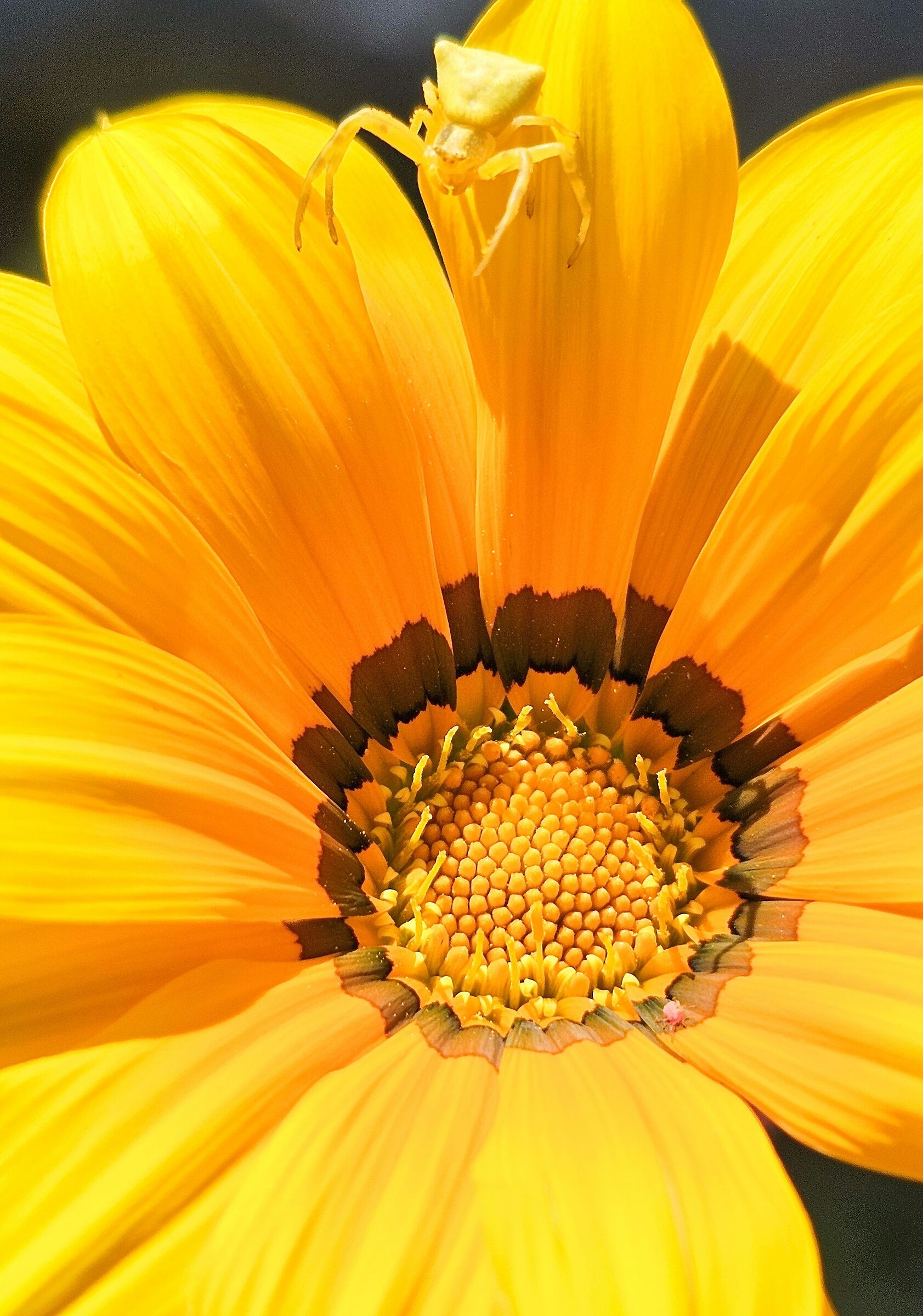 Untitled Photo
