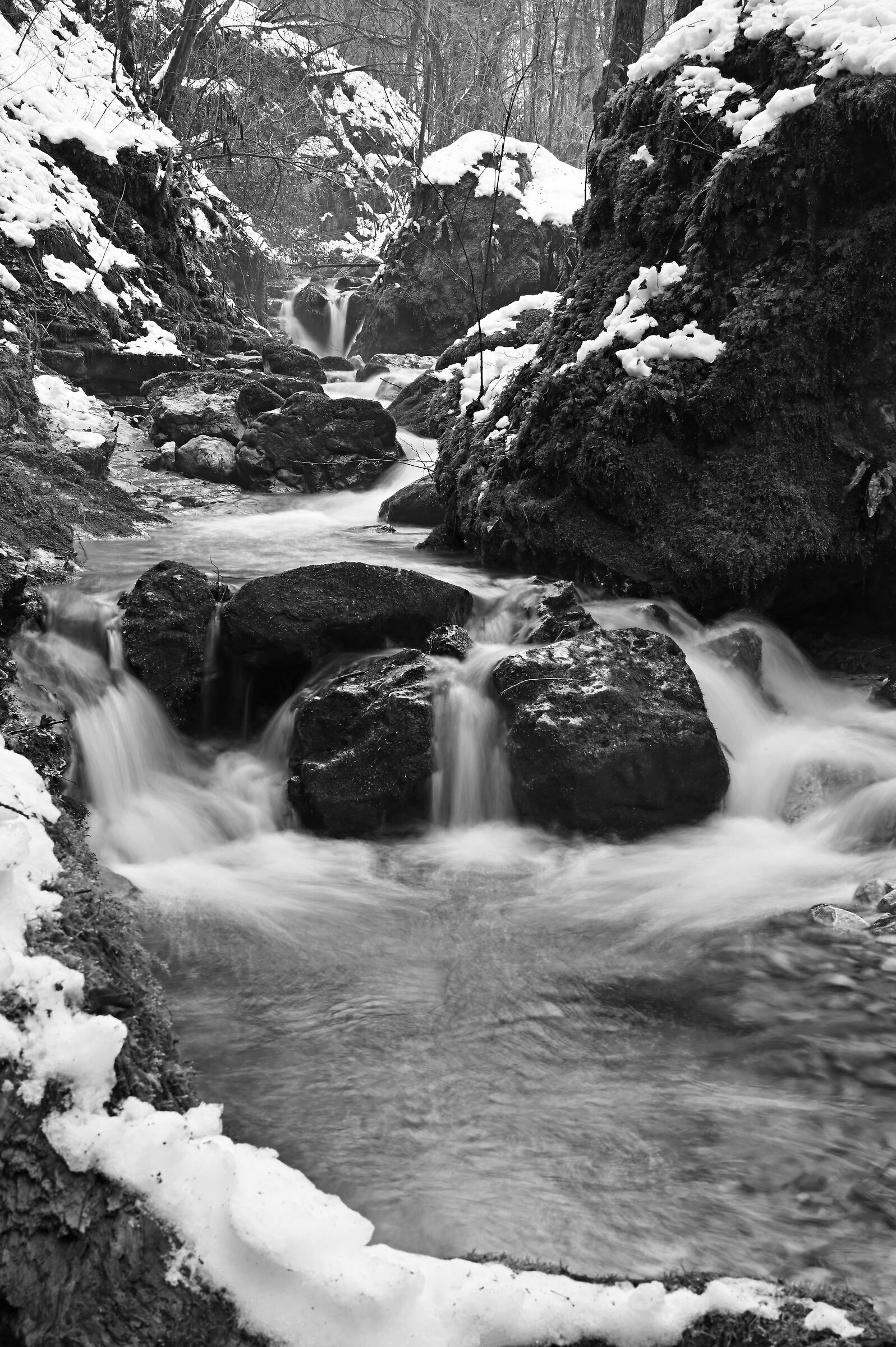 Untitled Photo
