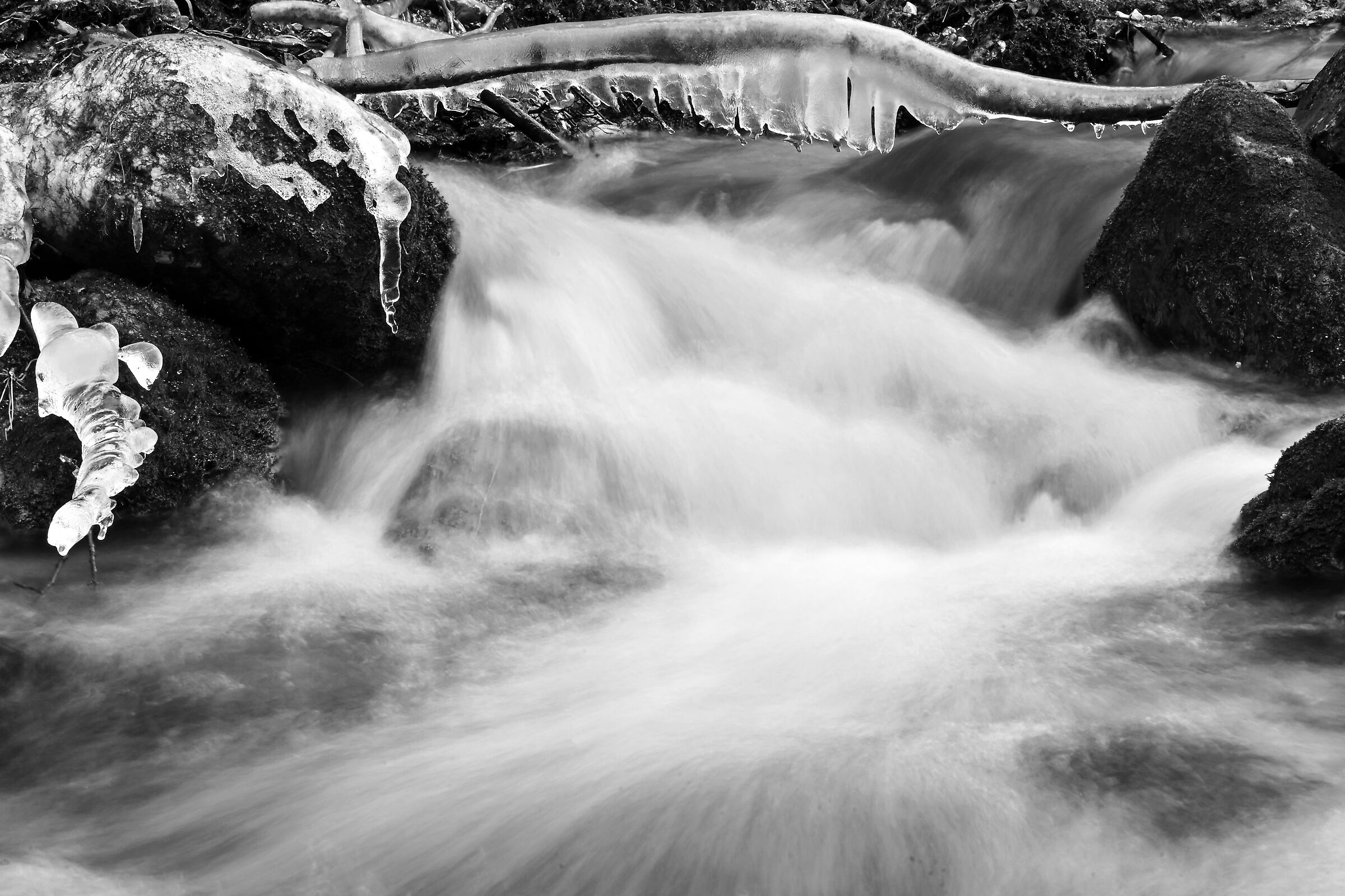 Untitled Photo