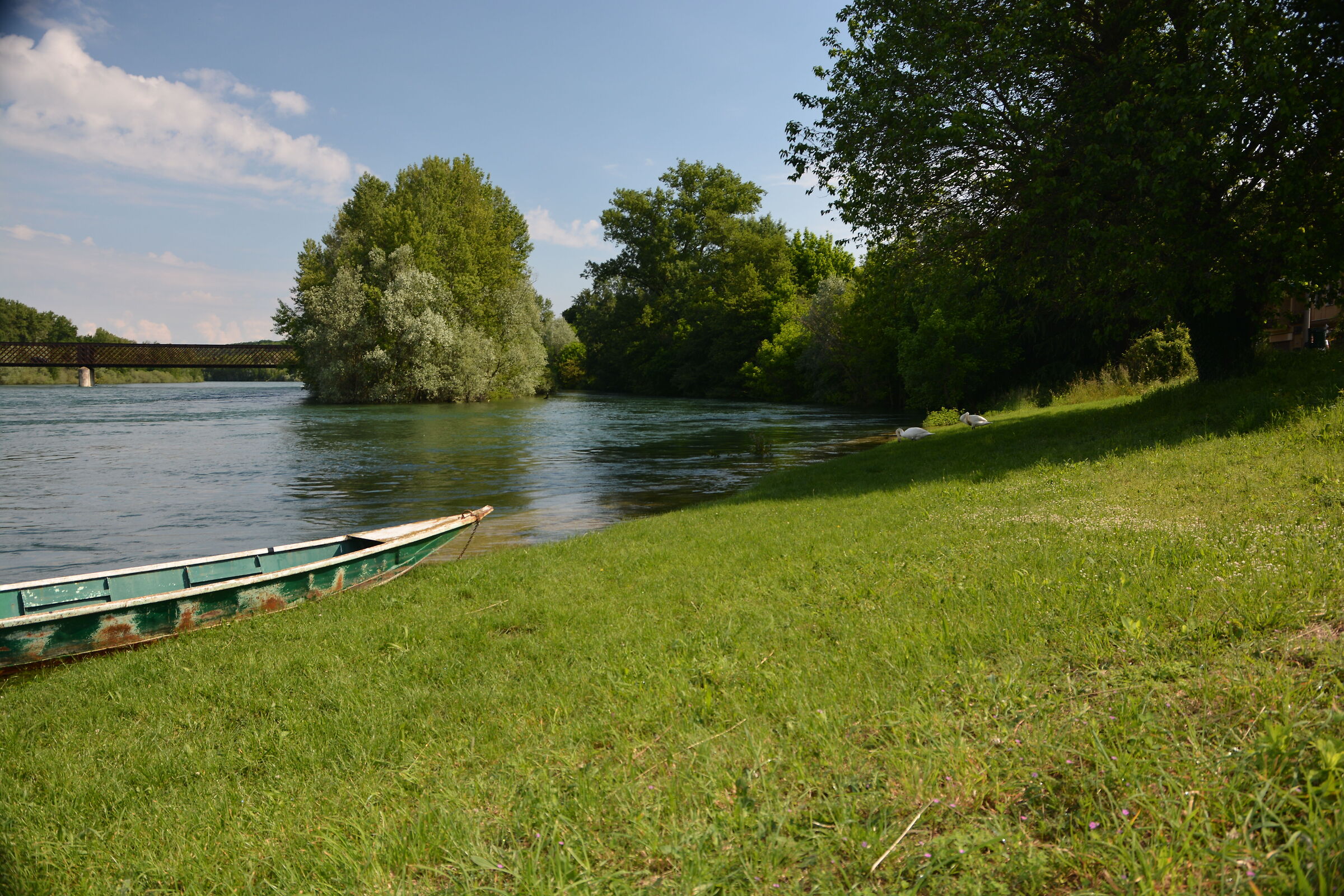 Panperduto downstream