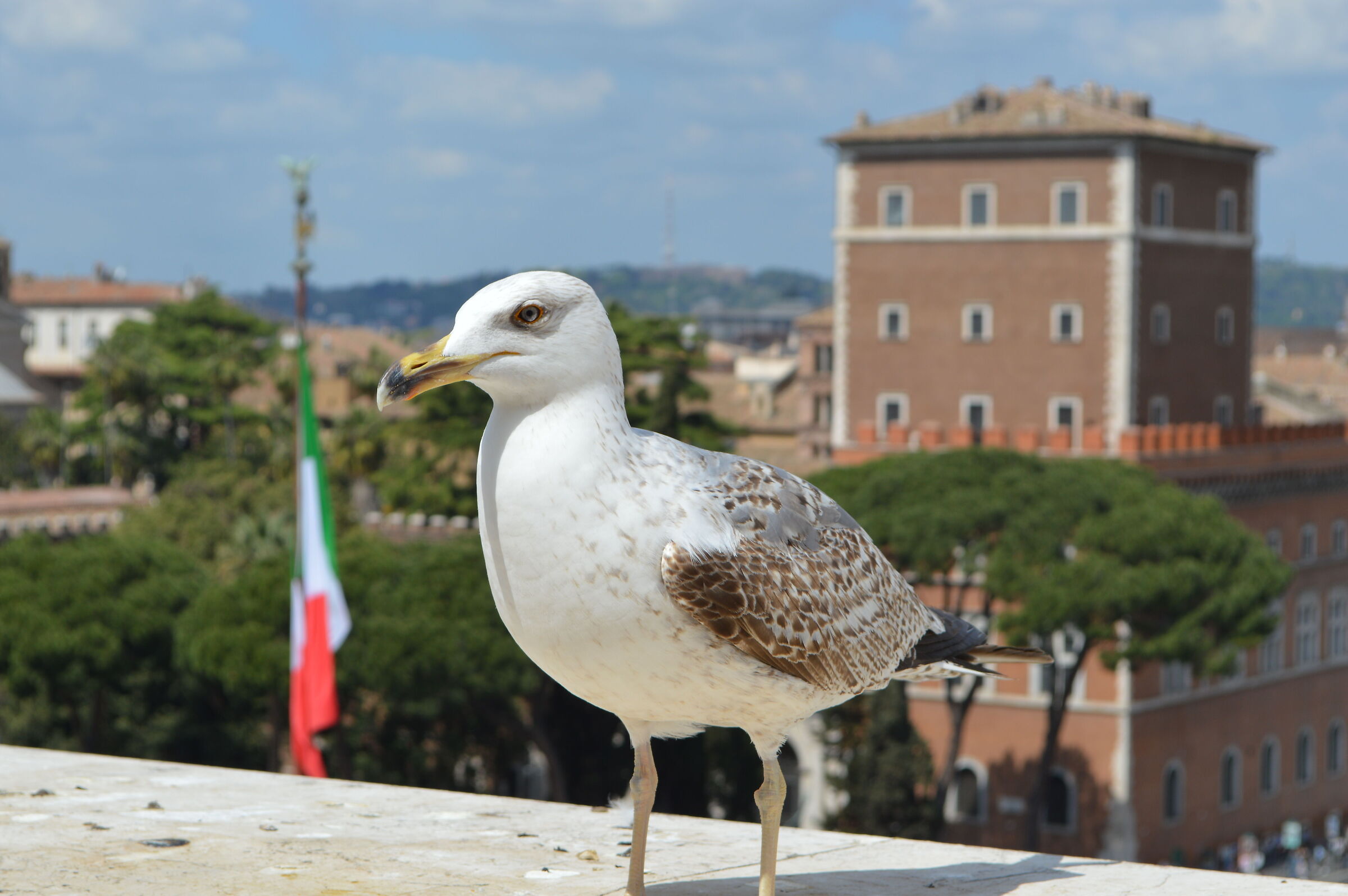 Incontri romani