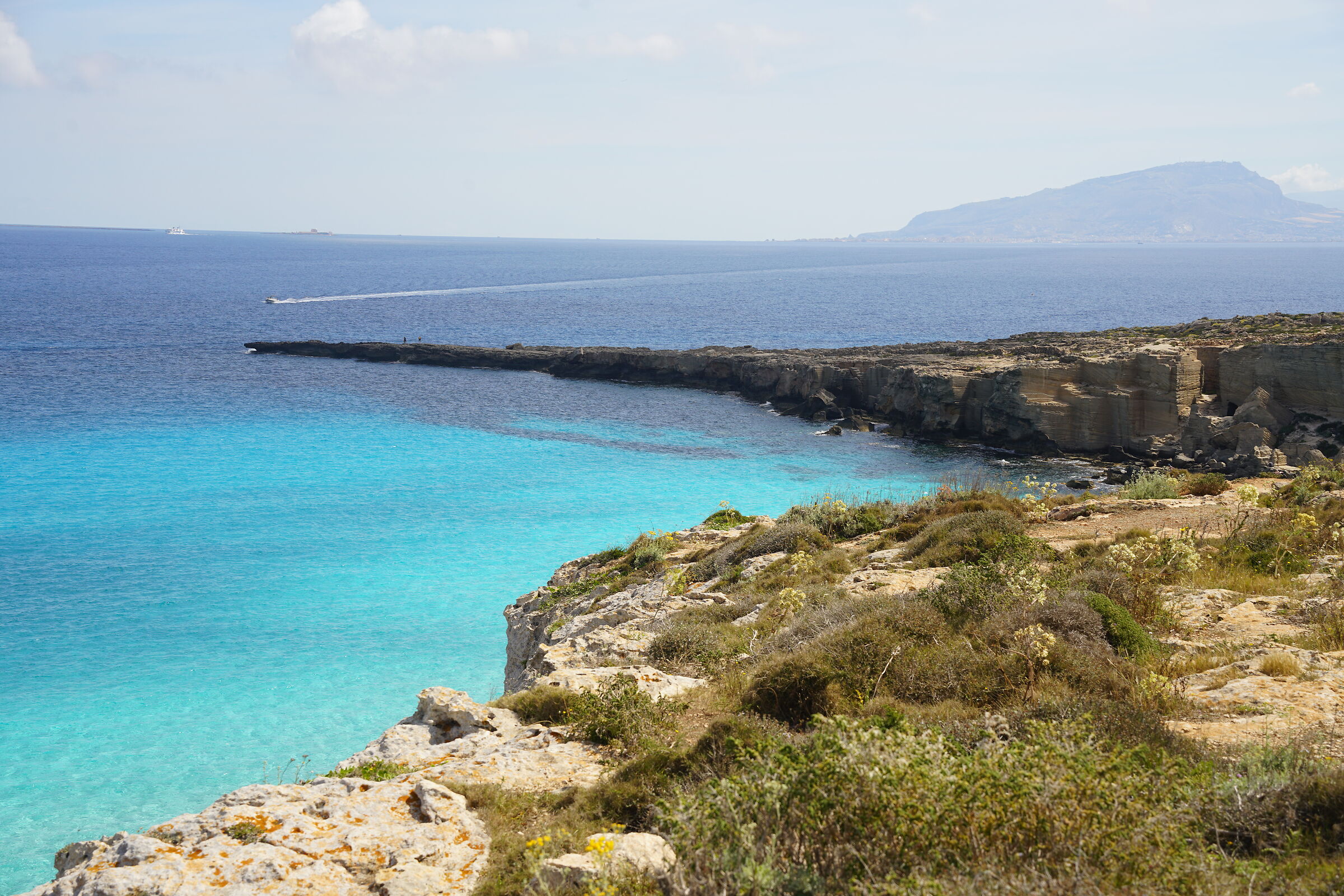mare