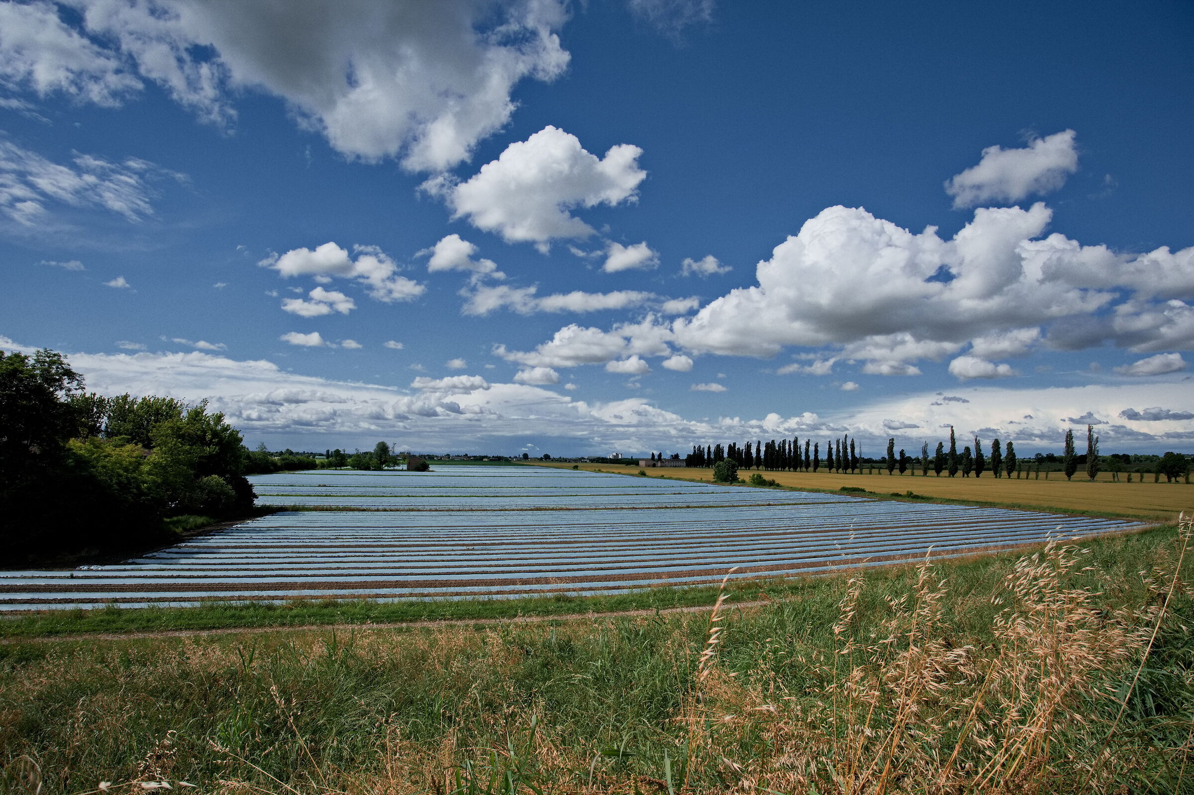 Clouds along the bank of the Oglio