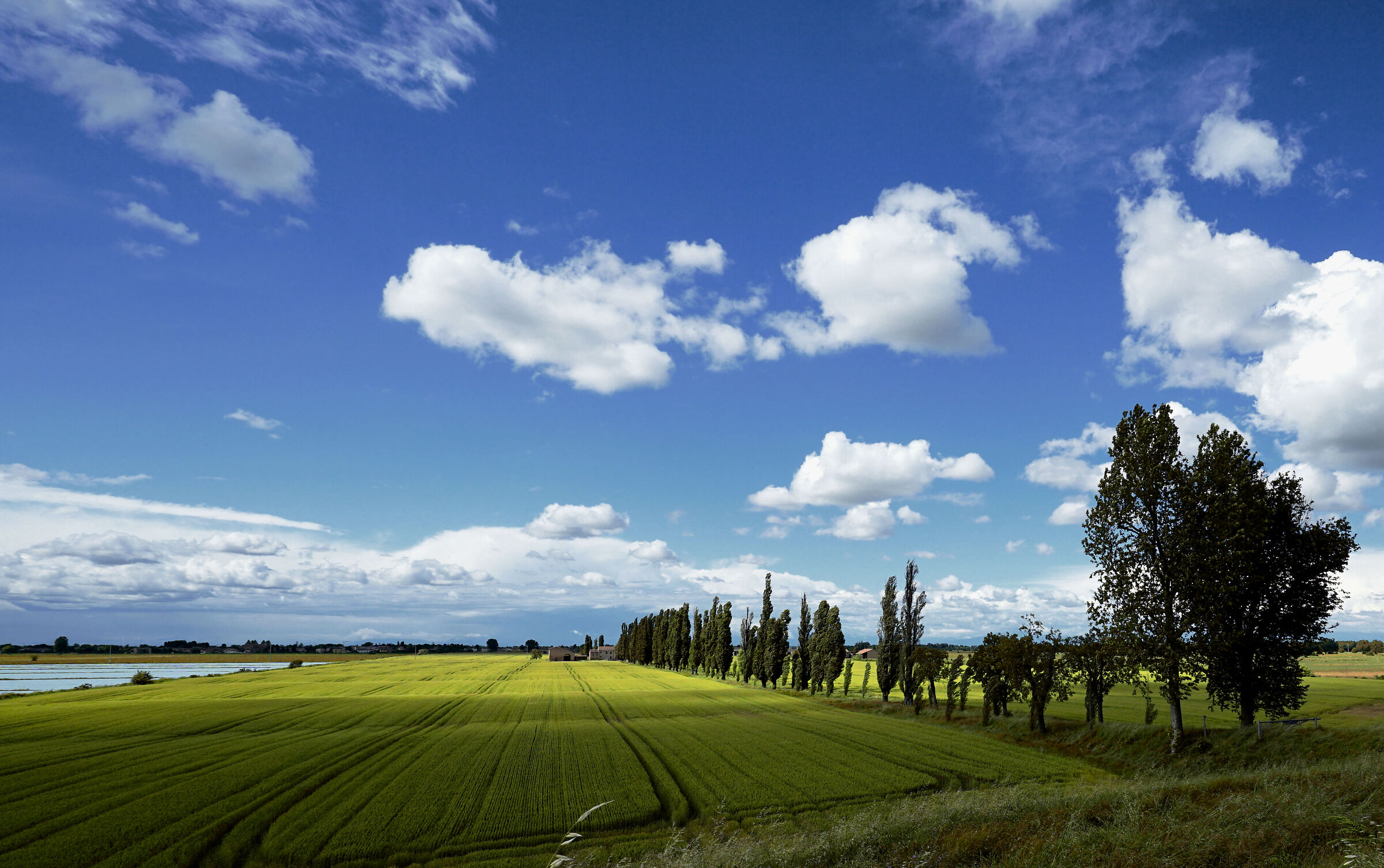 Heath behind the embankment