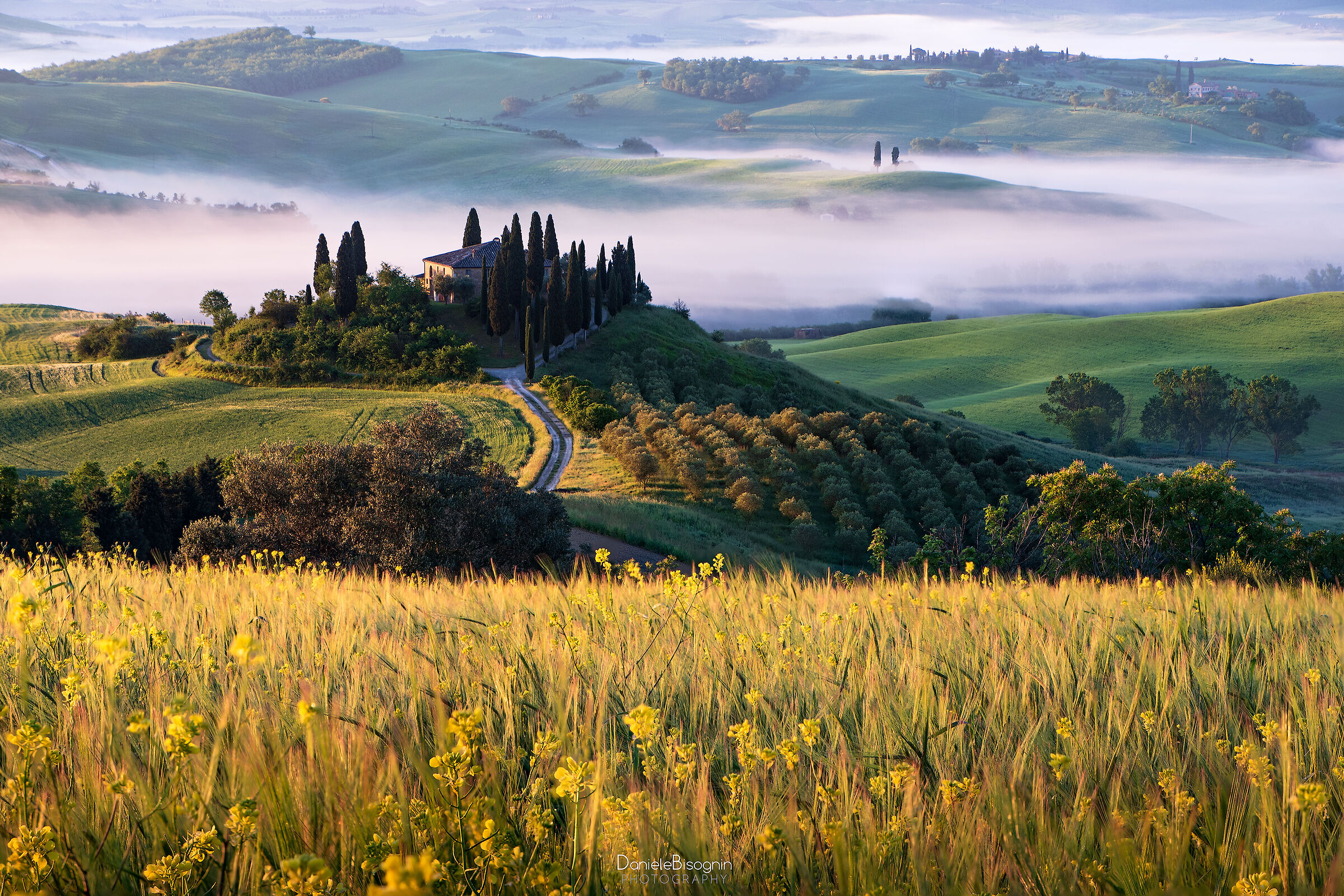 Colors of Tuscany