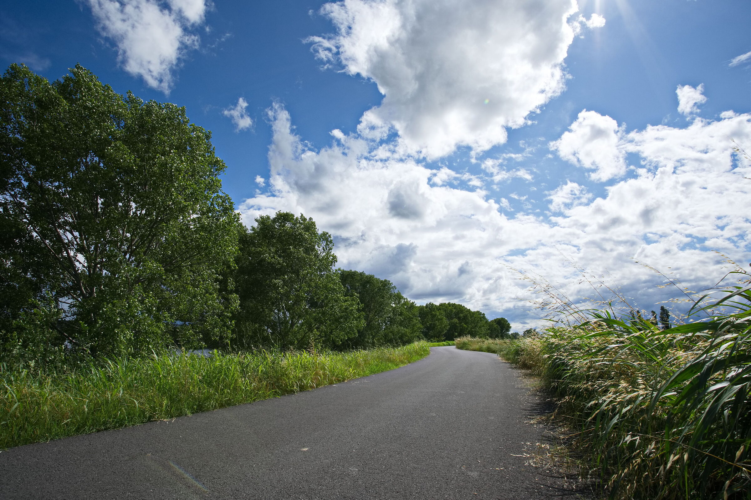 Scene polarized by clouds