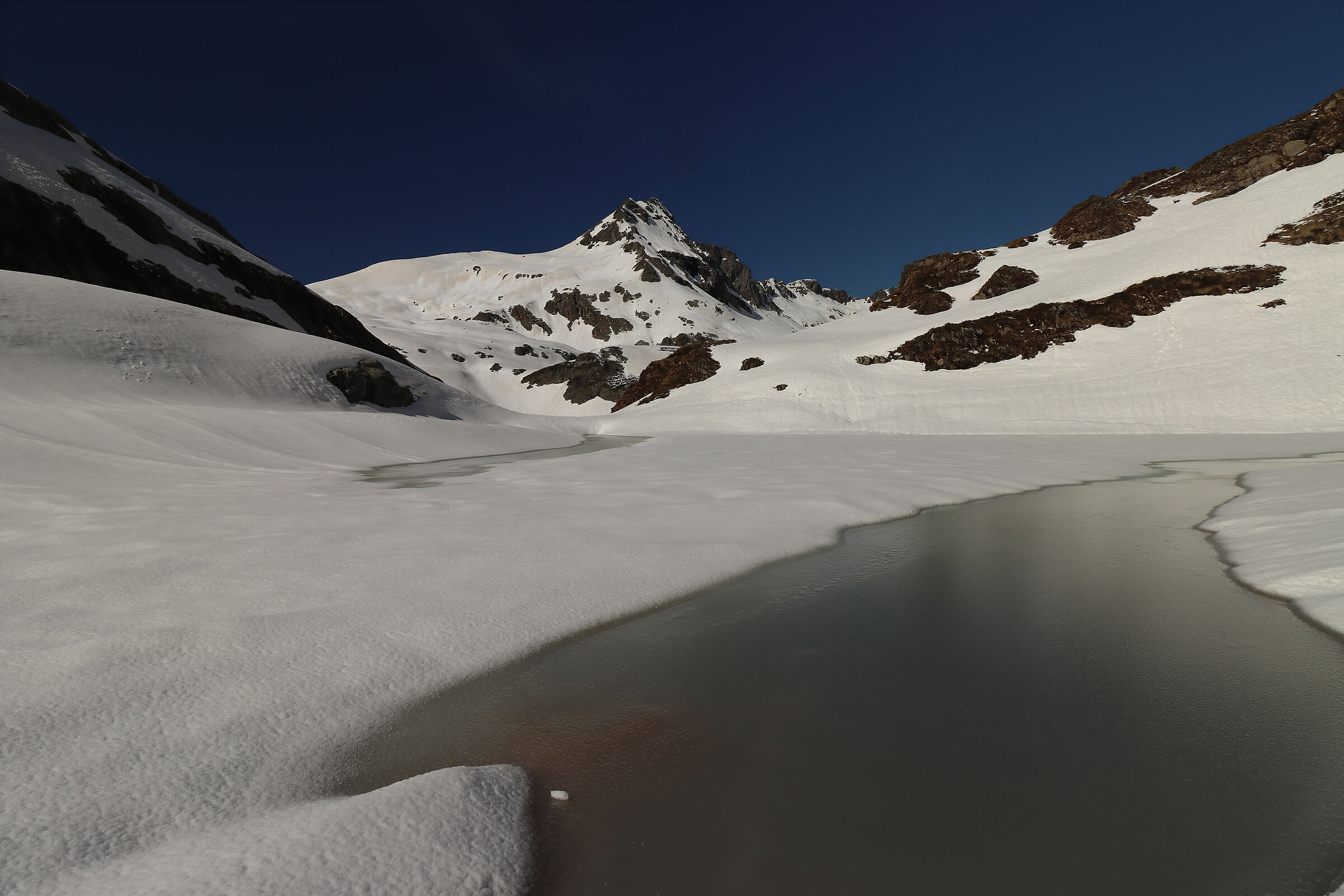 Saturday 1 June 2024 (Pradella)