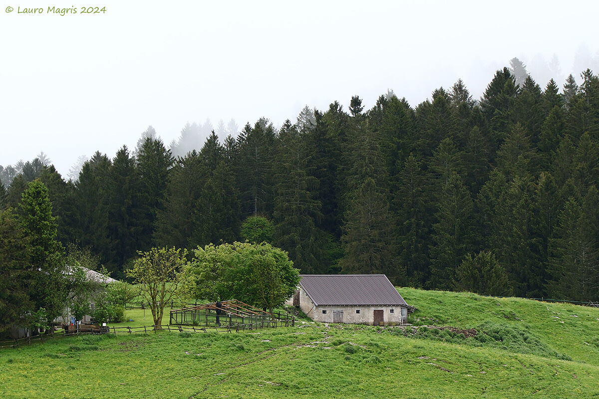Low clouds at the Tails