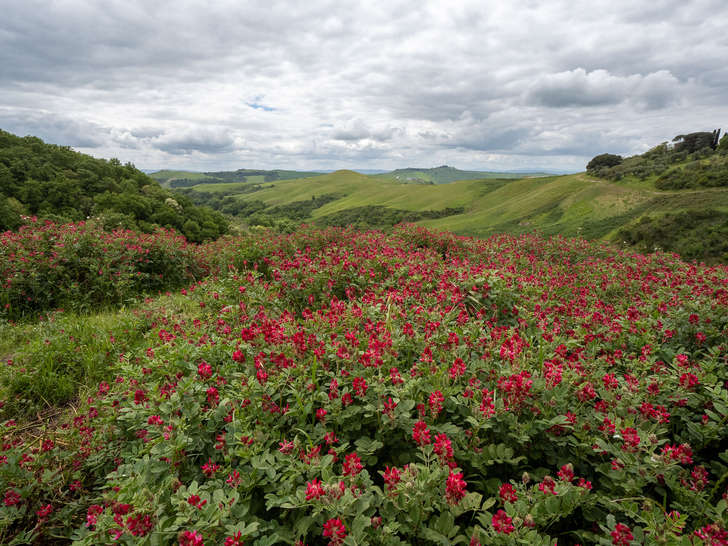 Crete senesi