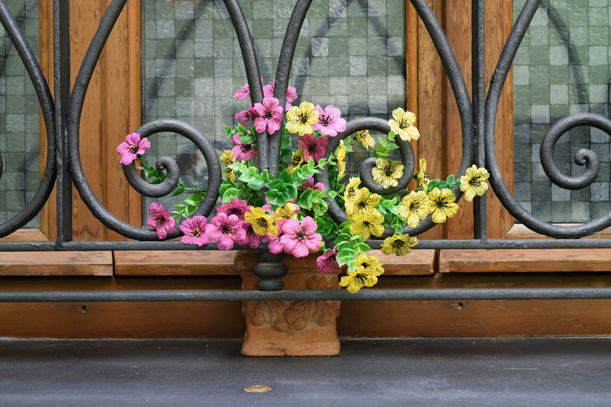 Untitled Photo