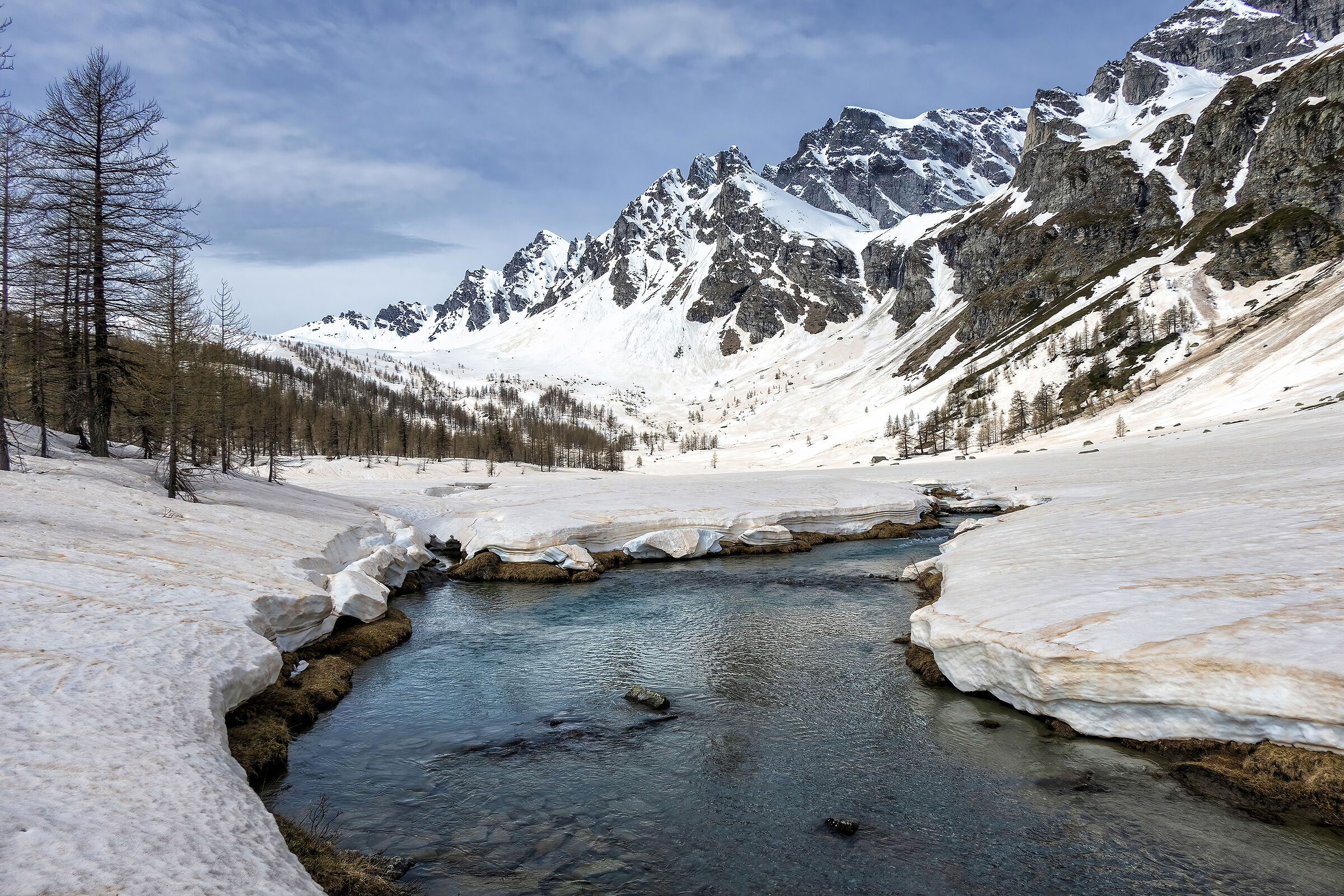 primi segni di disgelo...