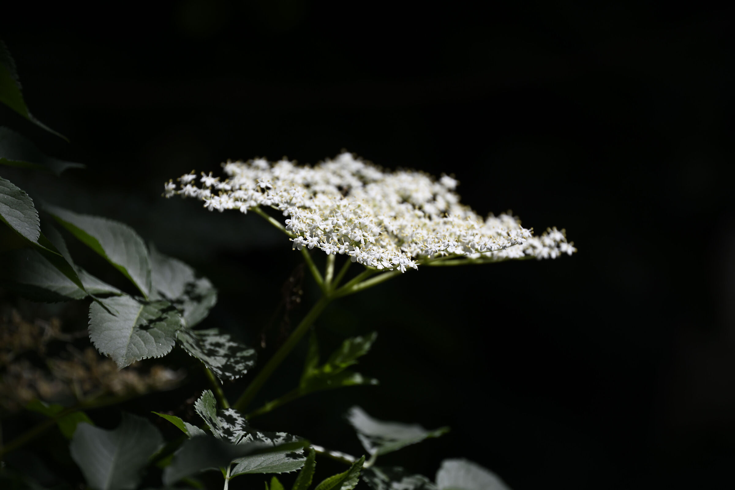 Untitled Photo