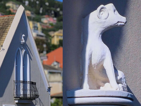 Foto