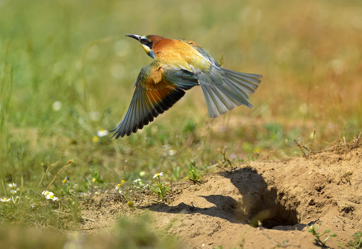 Out of the house ...