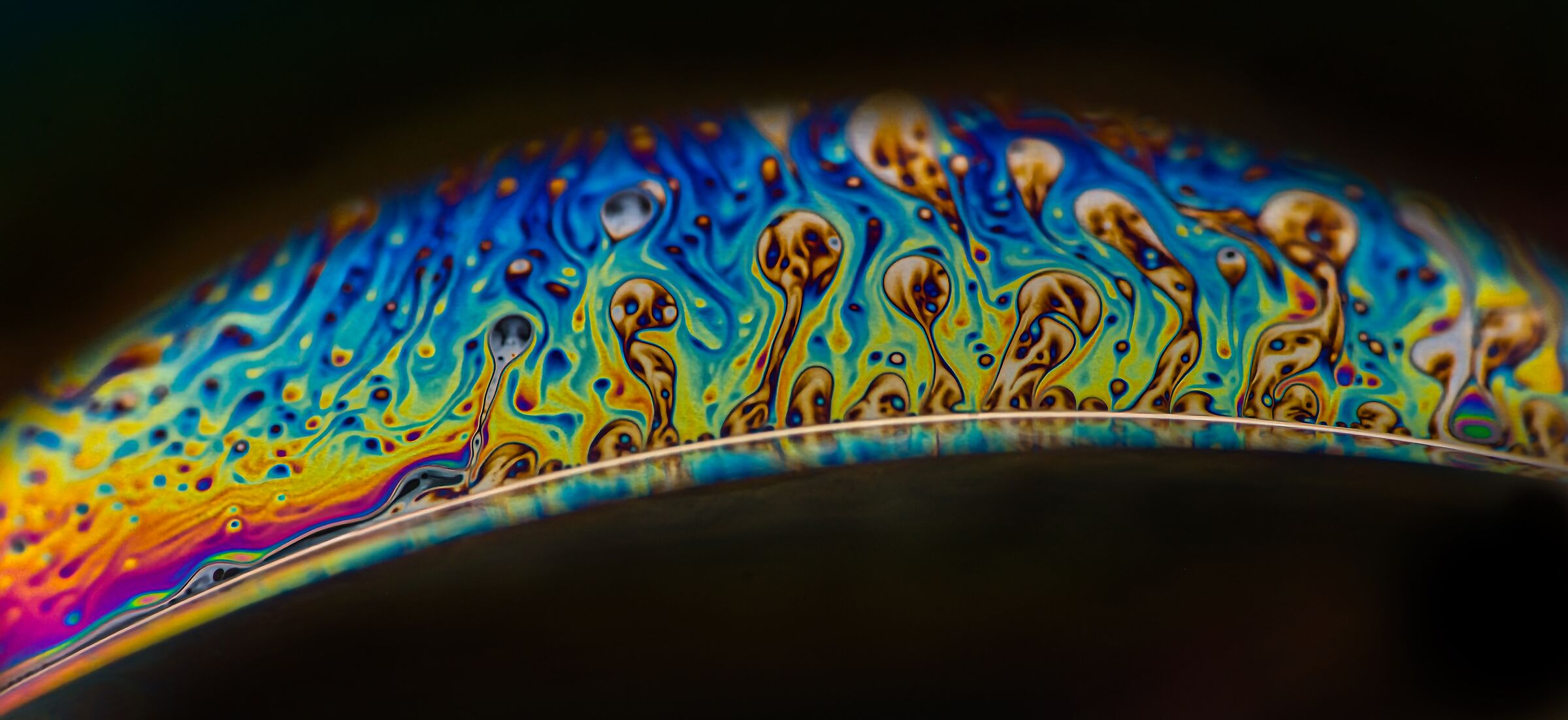 La prima bolla non si scorda più