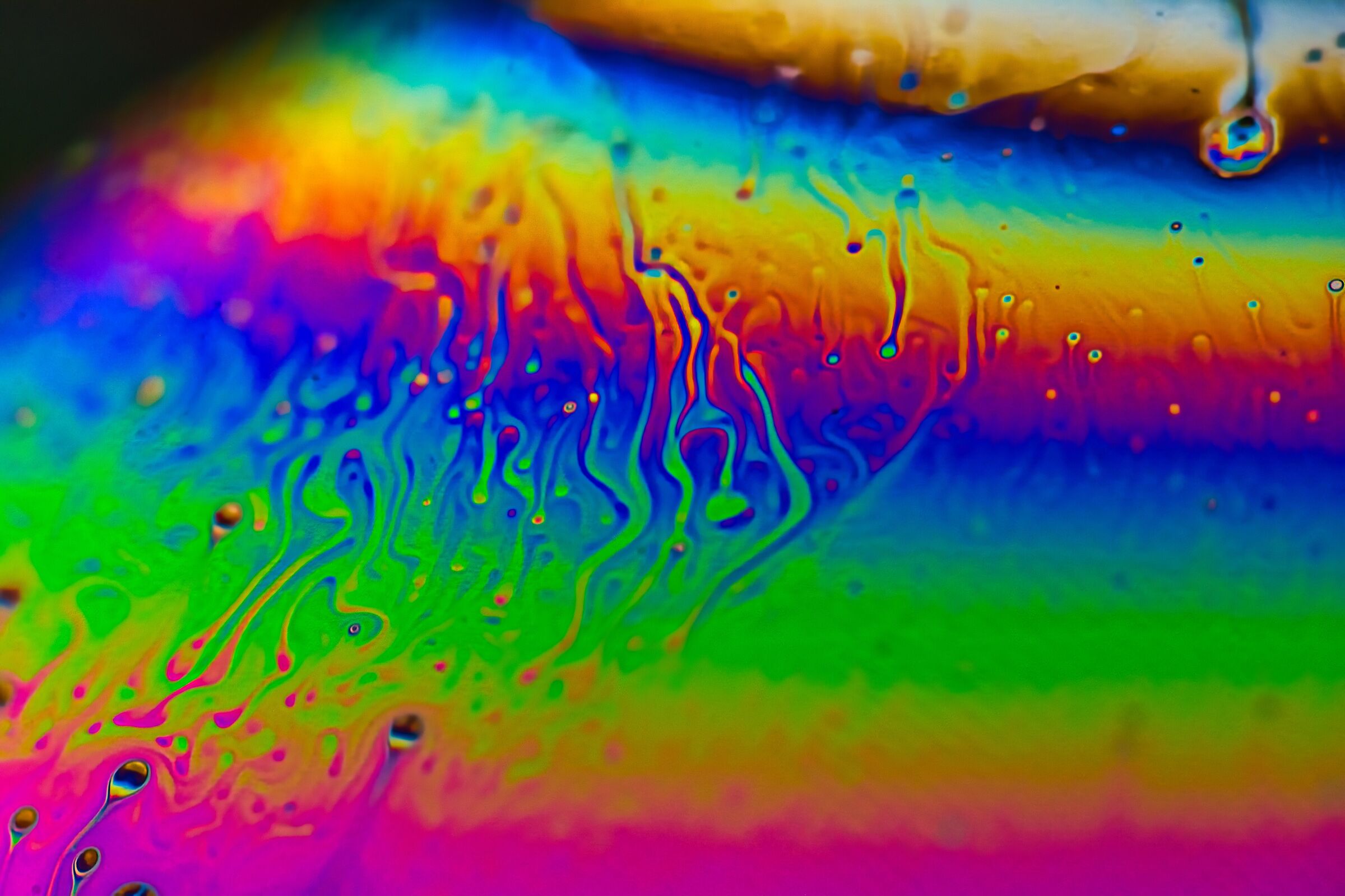 La prima bolla non si scorda più 2