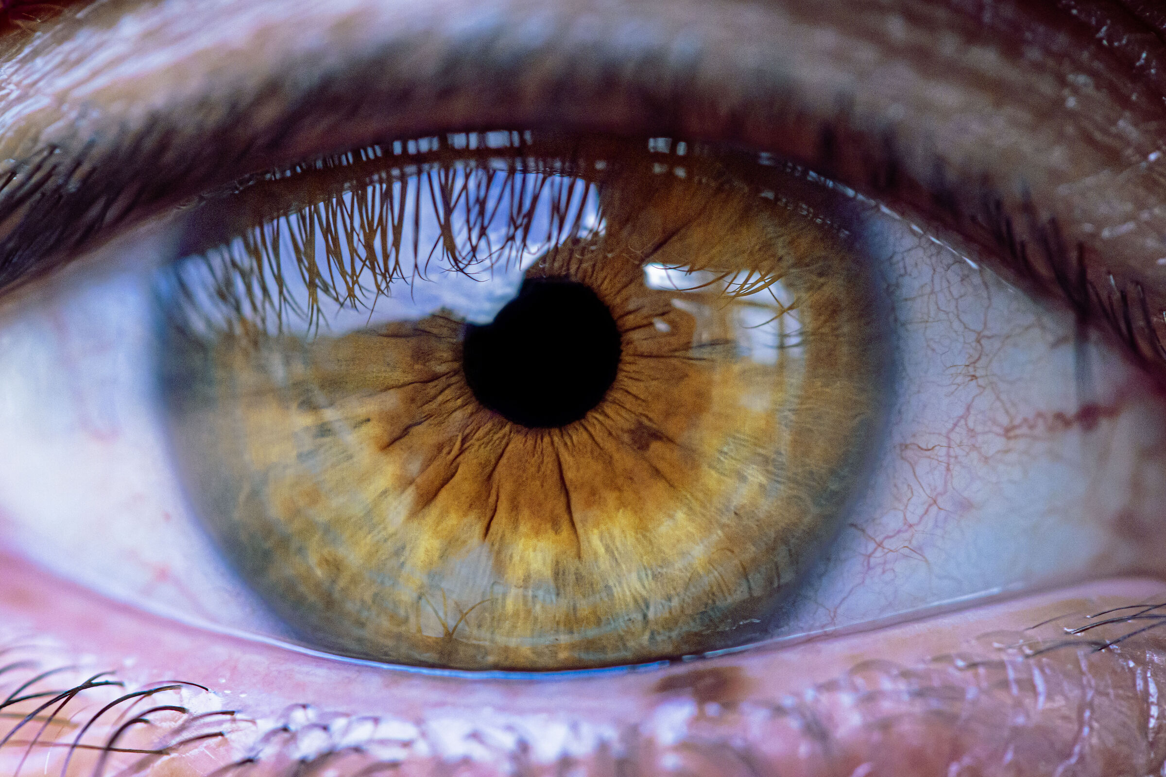 I looked into an emotion