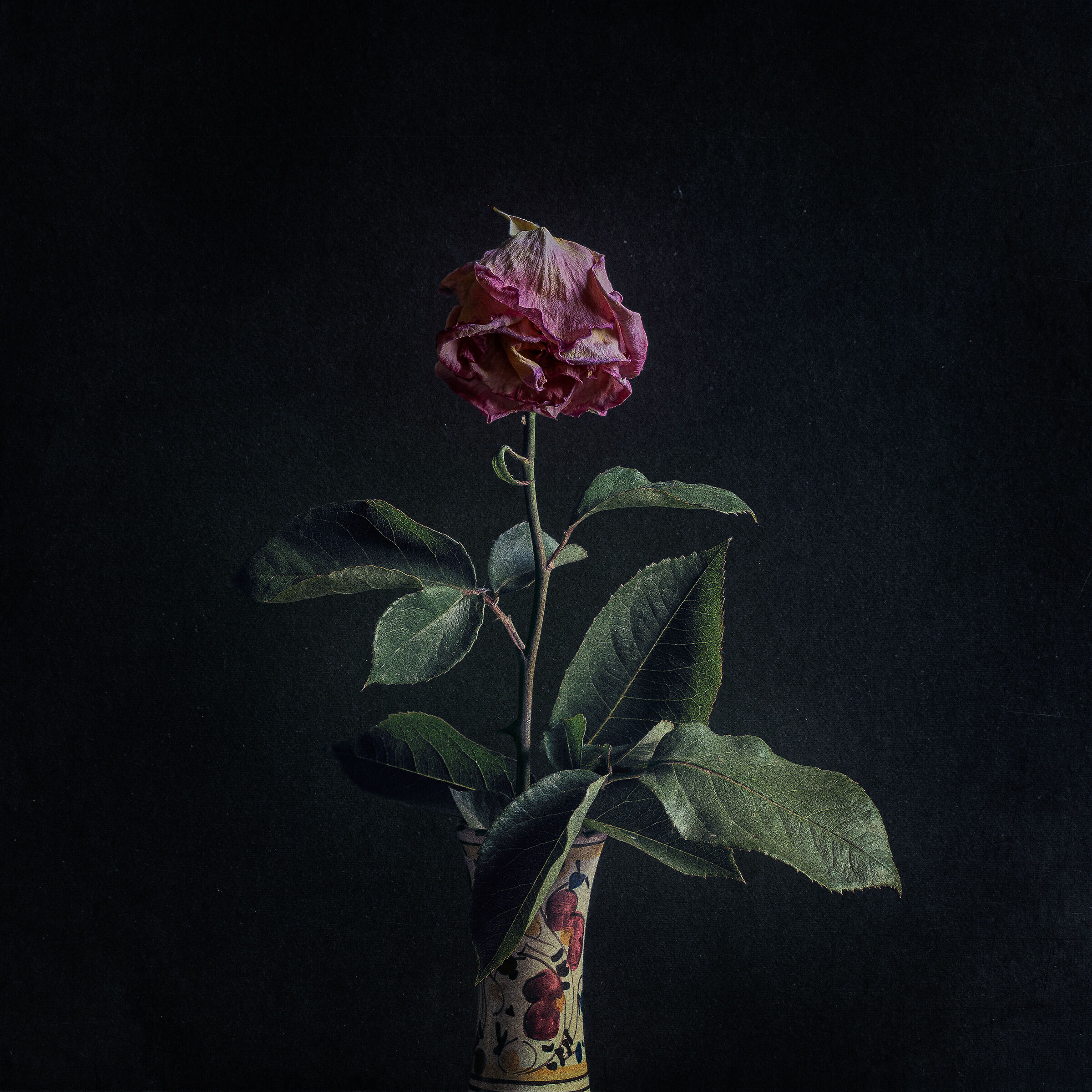 Rosa