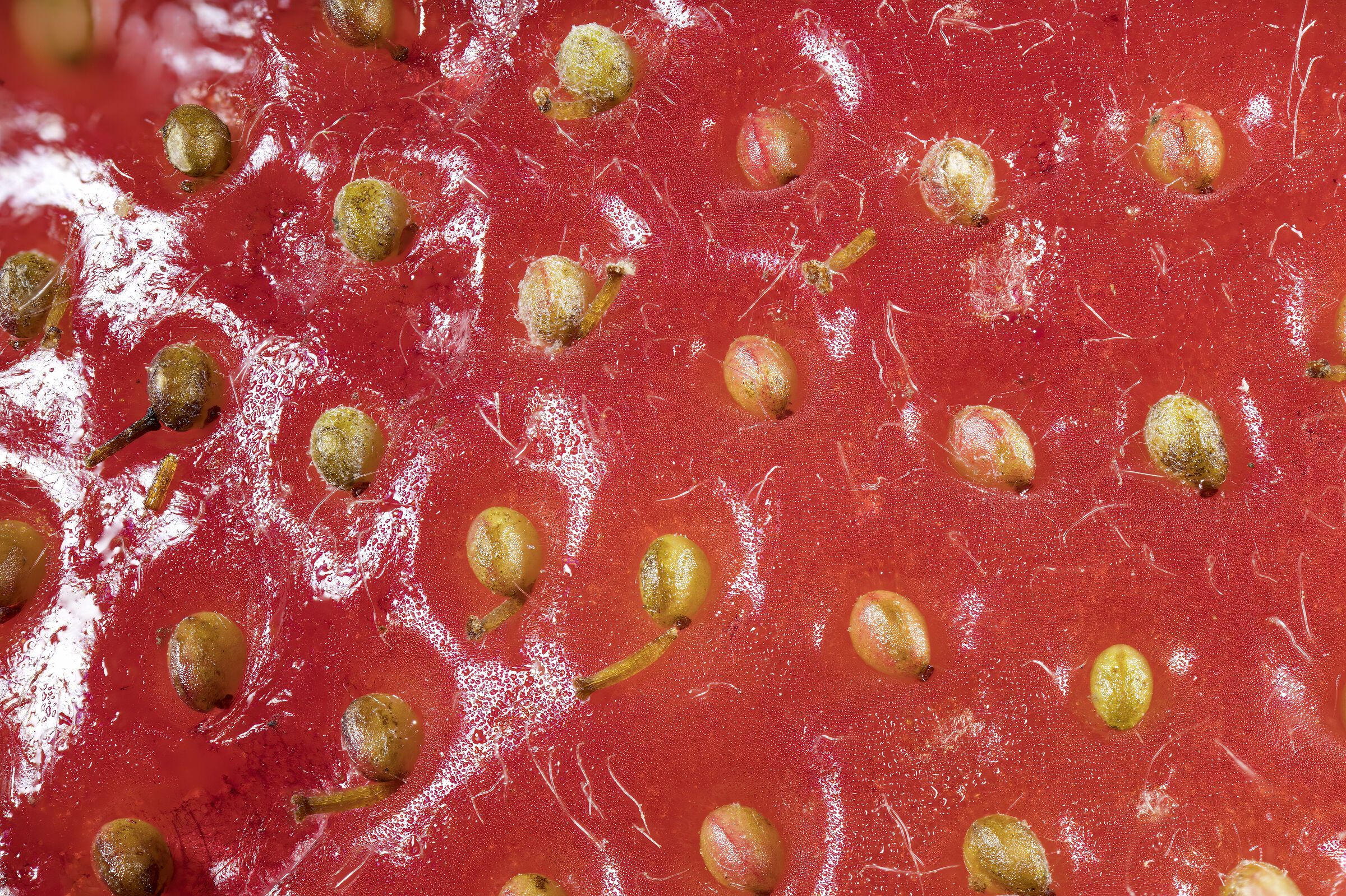 Dettaglio di fragola