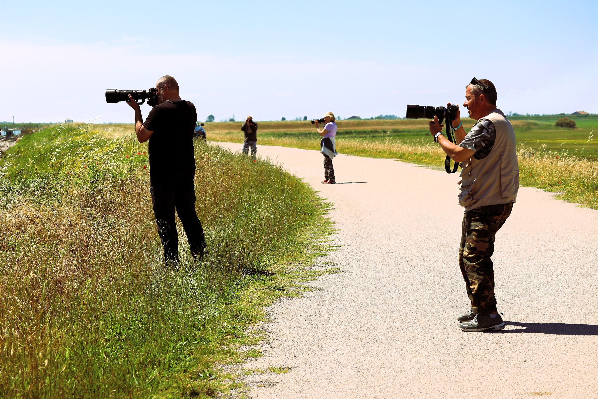 Let's go on the hunt