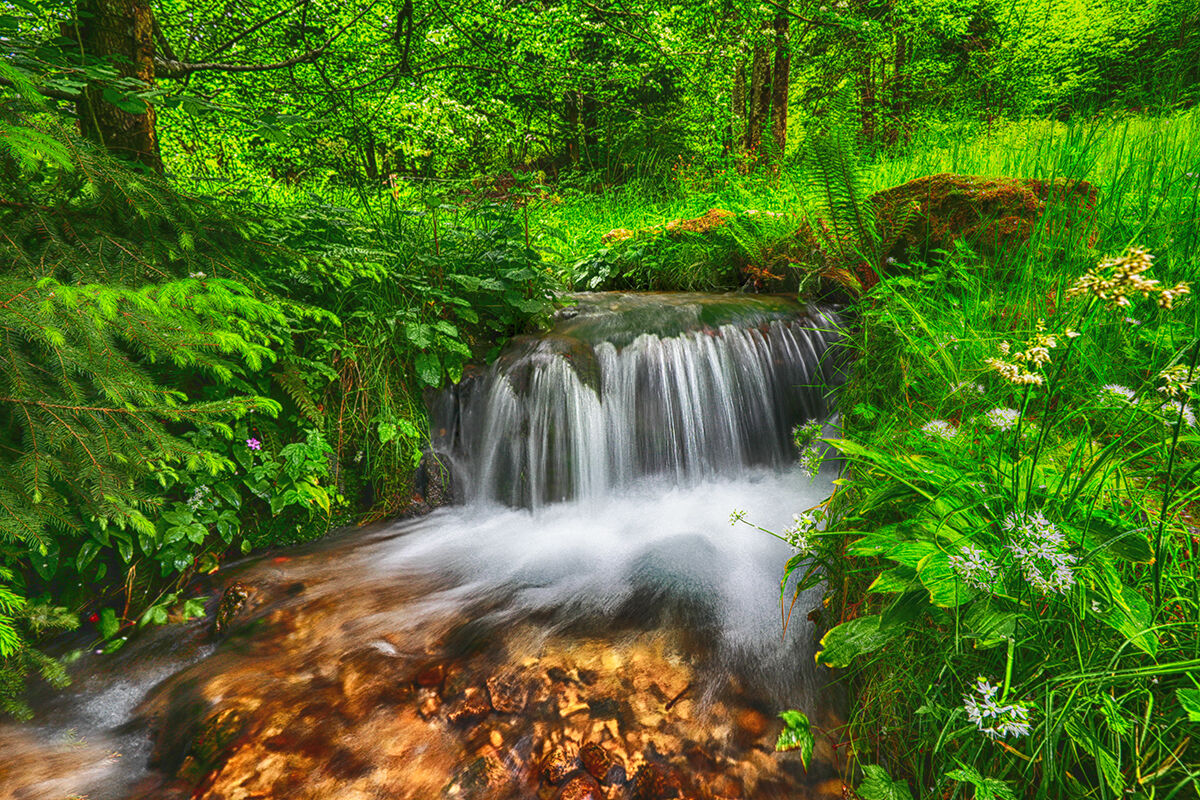 Waterfaal in the green