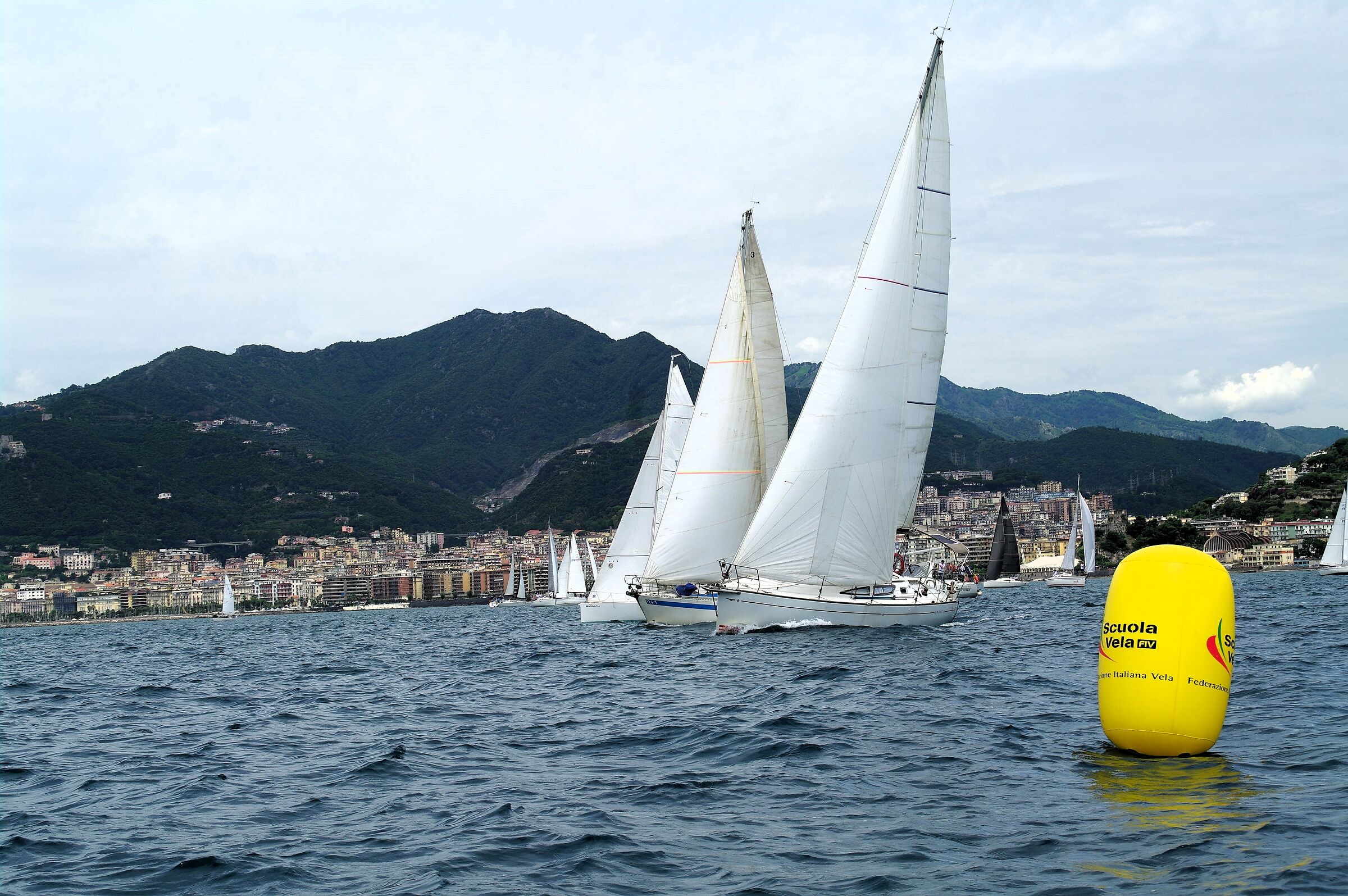 Regata-01