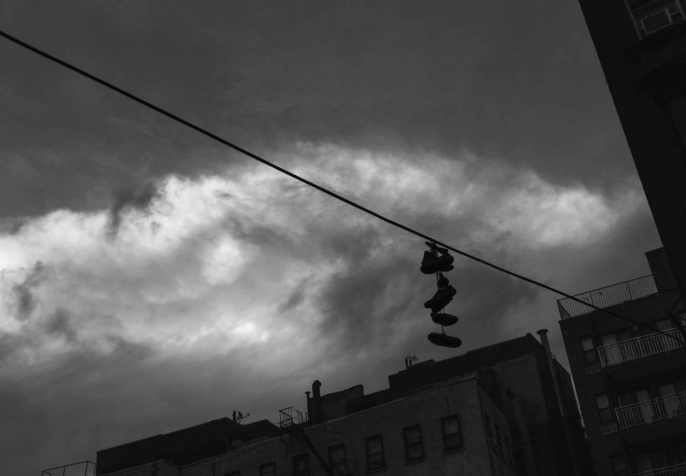 Untitled Photo