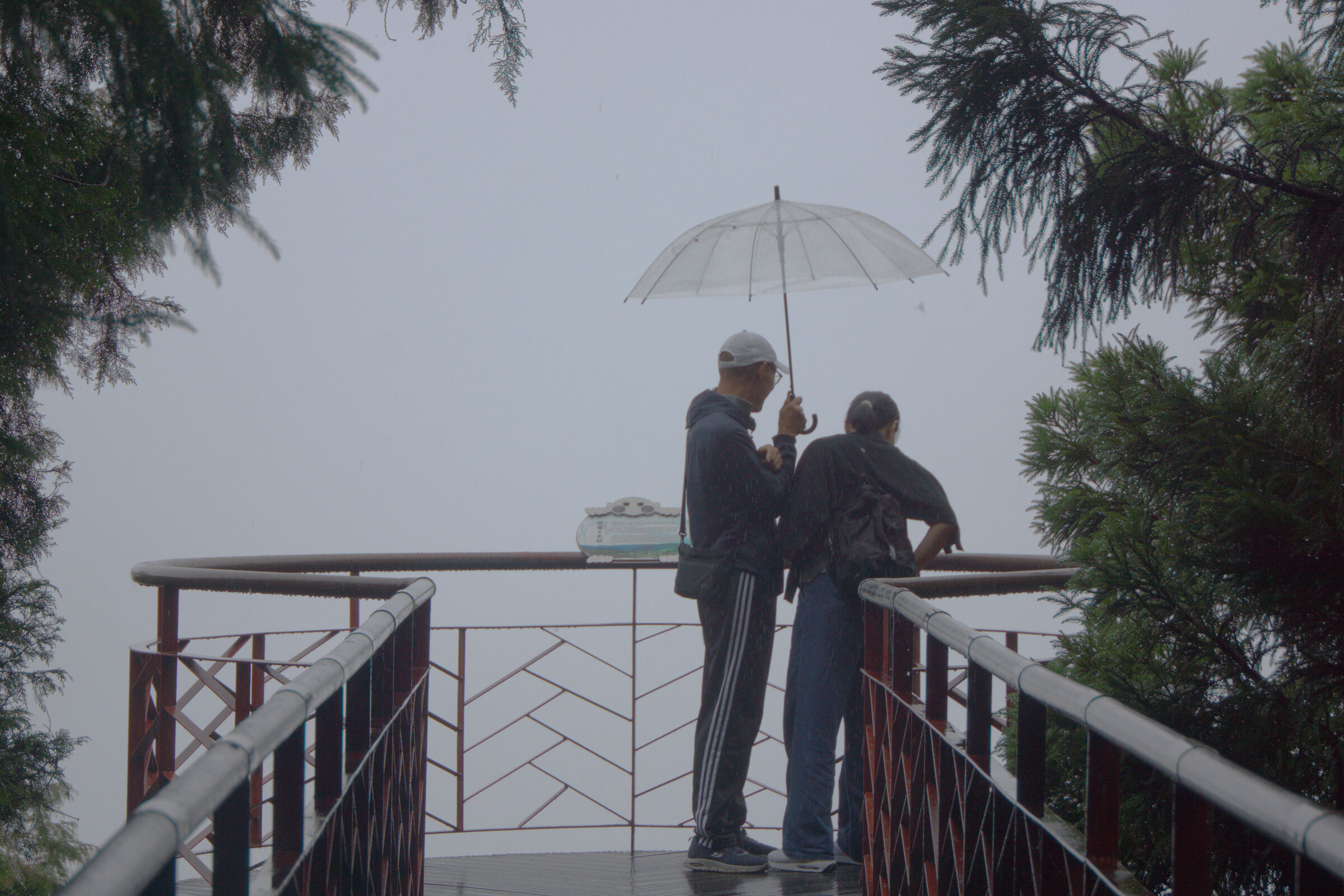 Foggy love