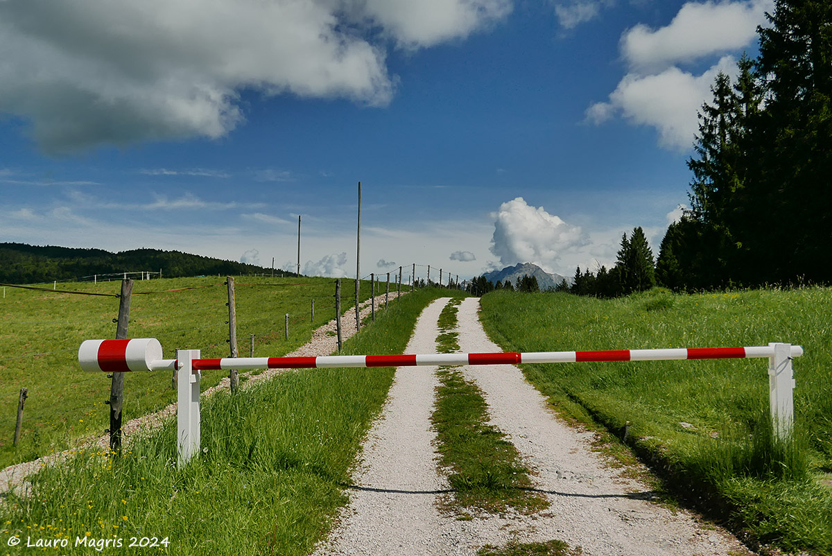 To enter paradise raise the bar