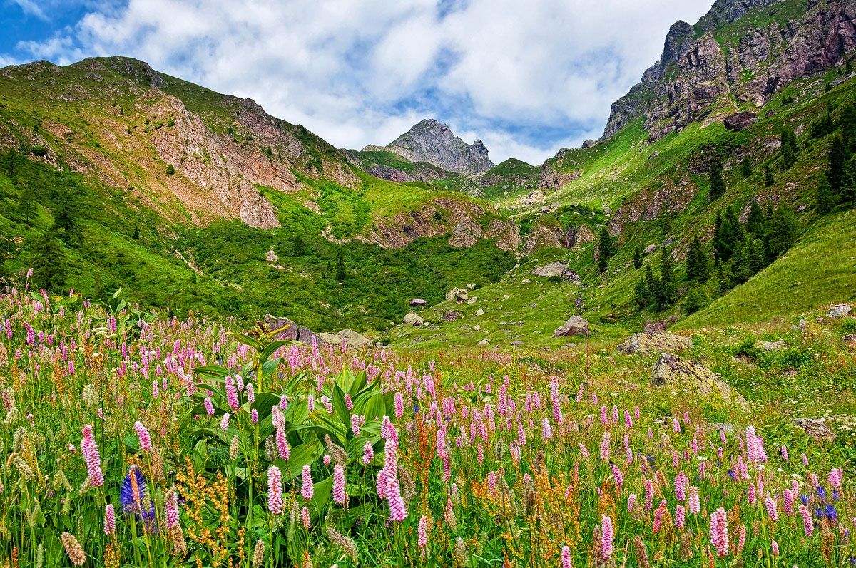 Primavera nella Valle dell'Inferno